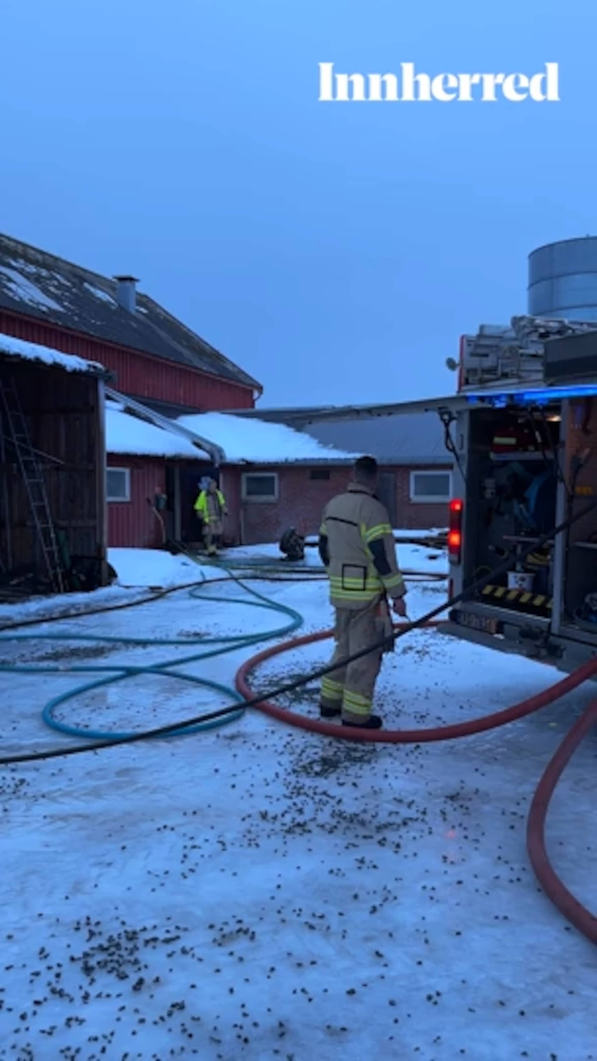 Røykutvikling i grisefjøs