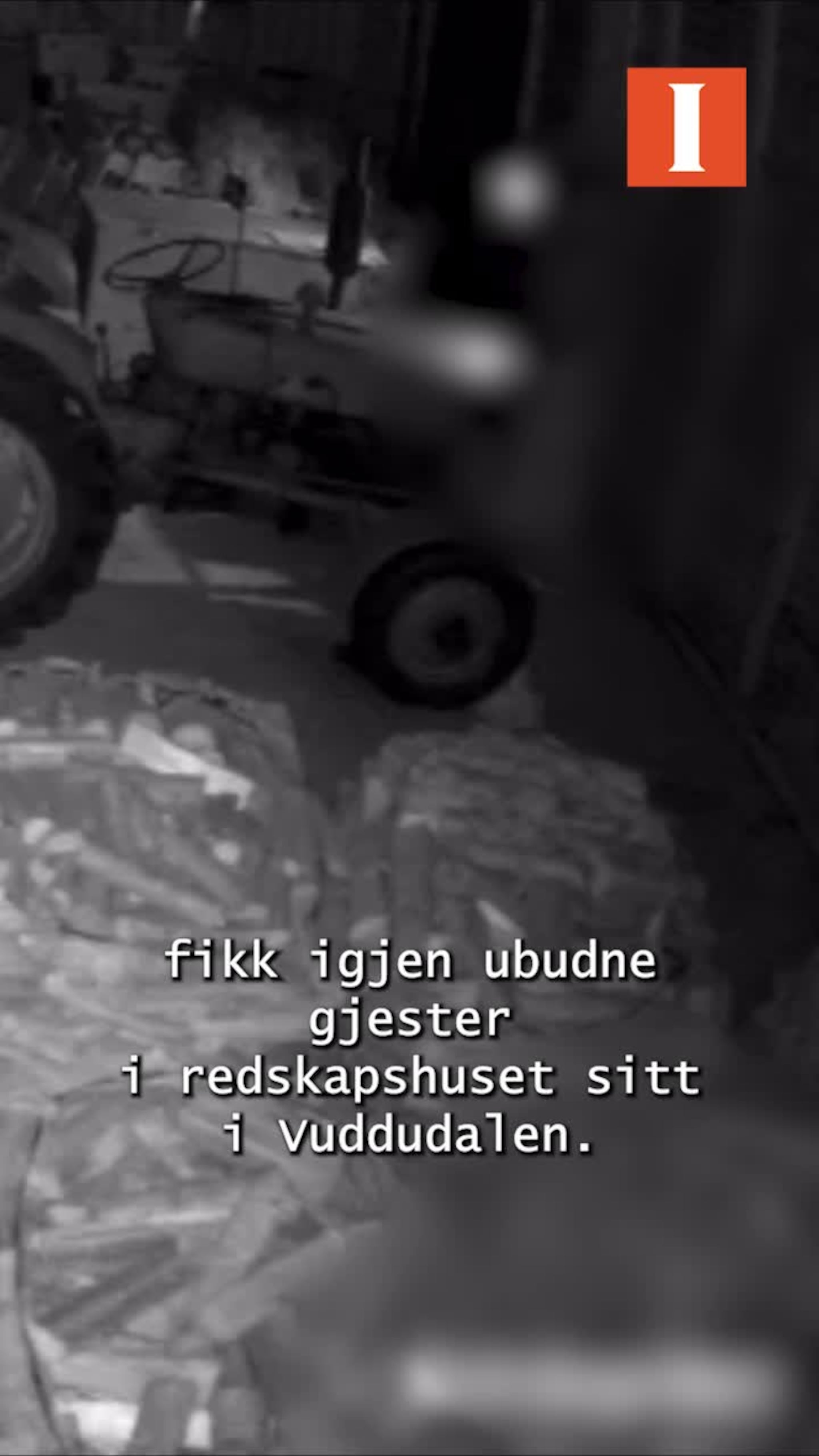 Innbrudd på småbruk