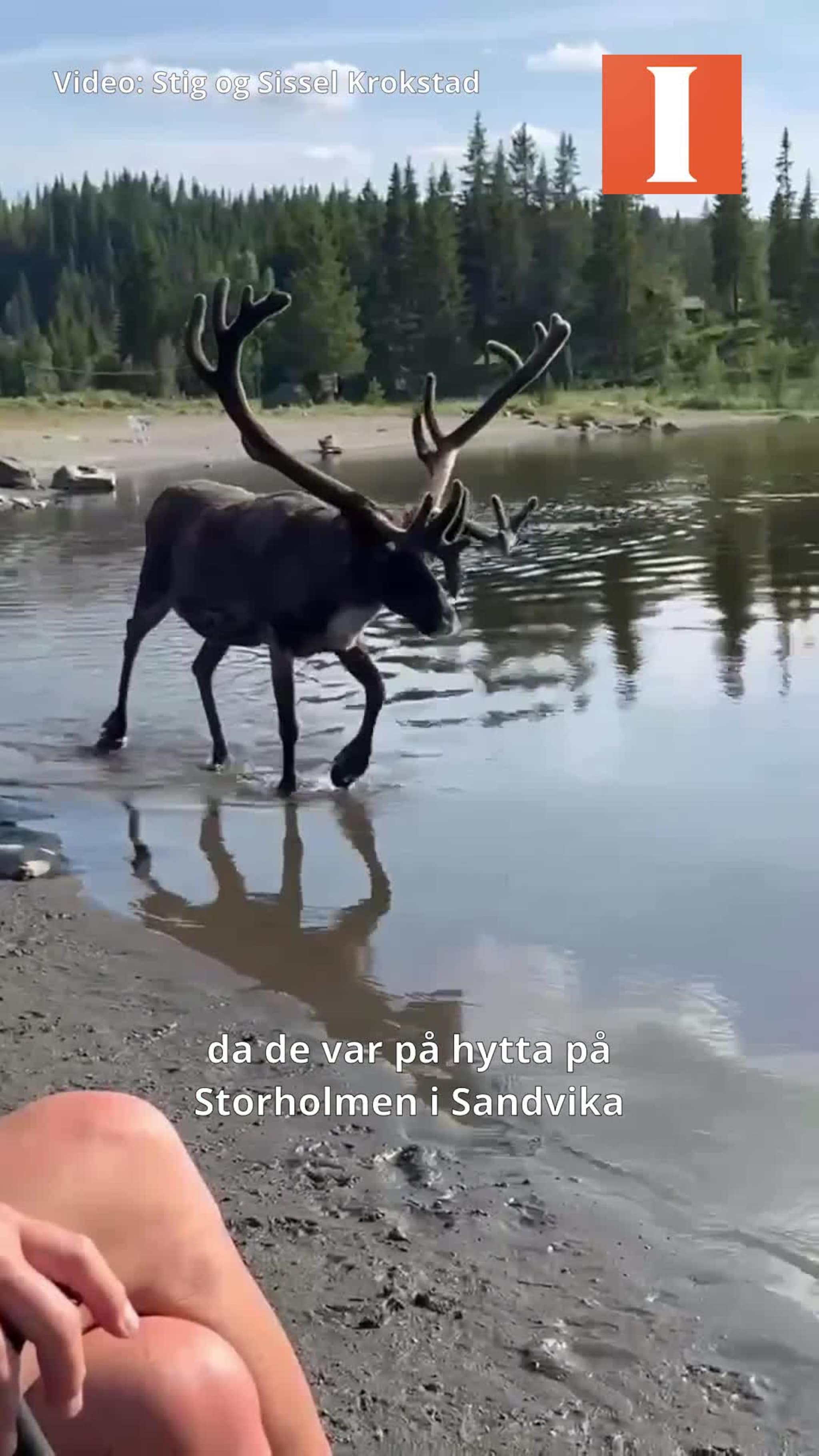 Fikk uventet besøk på stranda