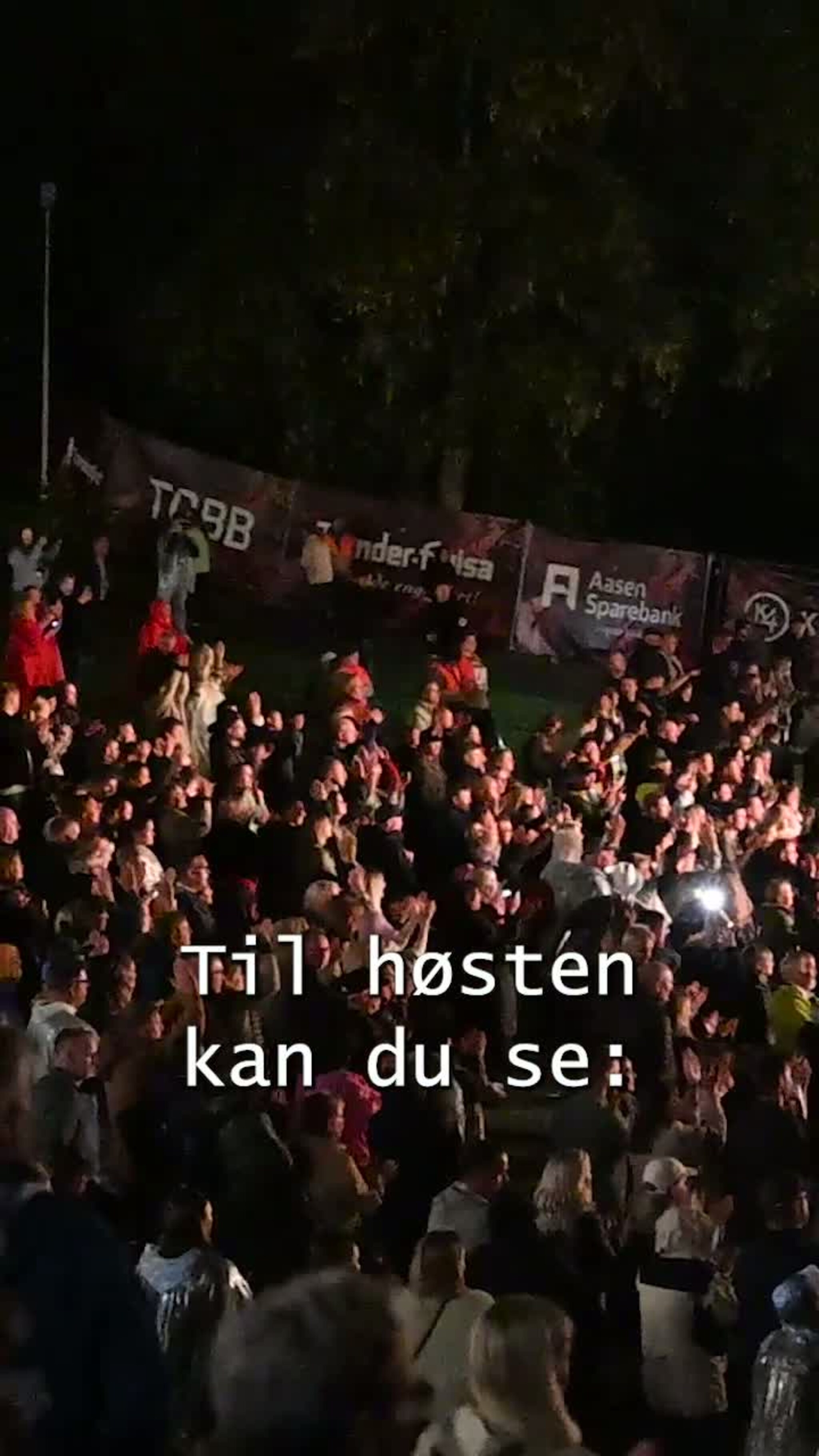 Her er alle artistene til Staupshaugen