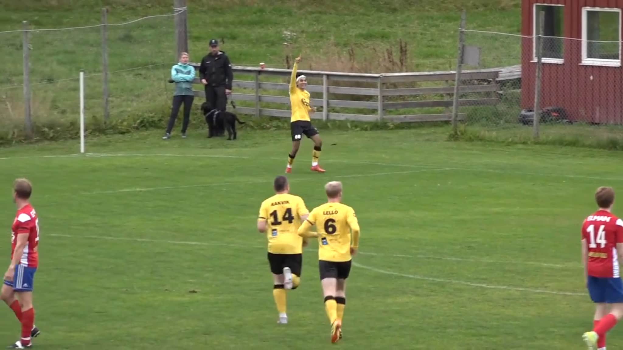 1-0, Omid Sedegy
