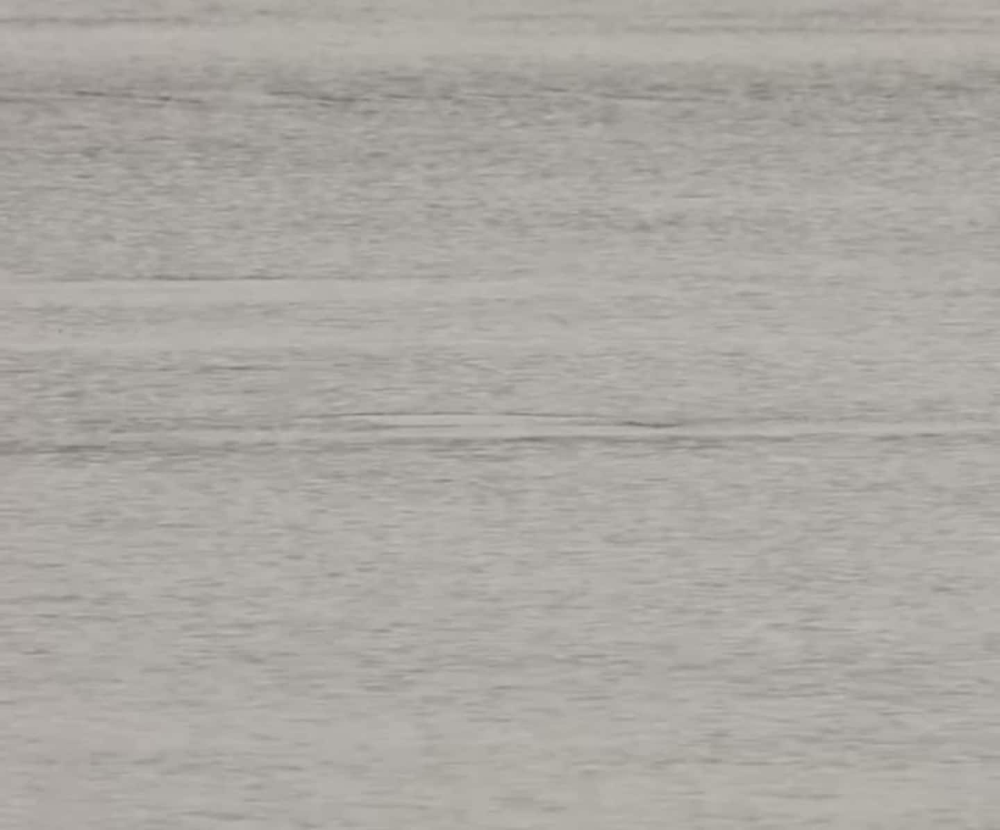 Gulflankedelfin i Fættenfjorden