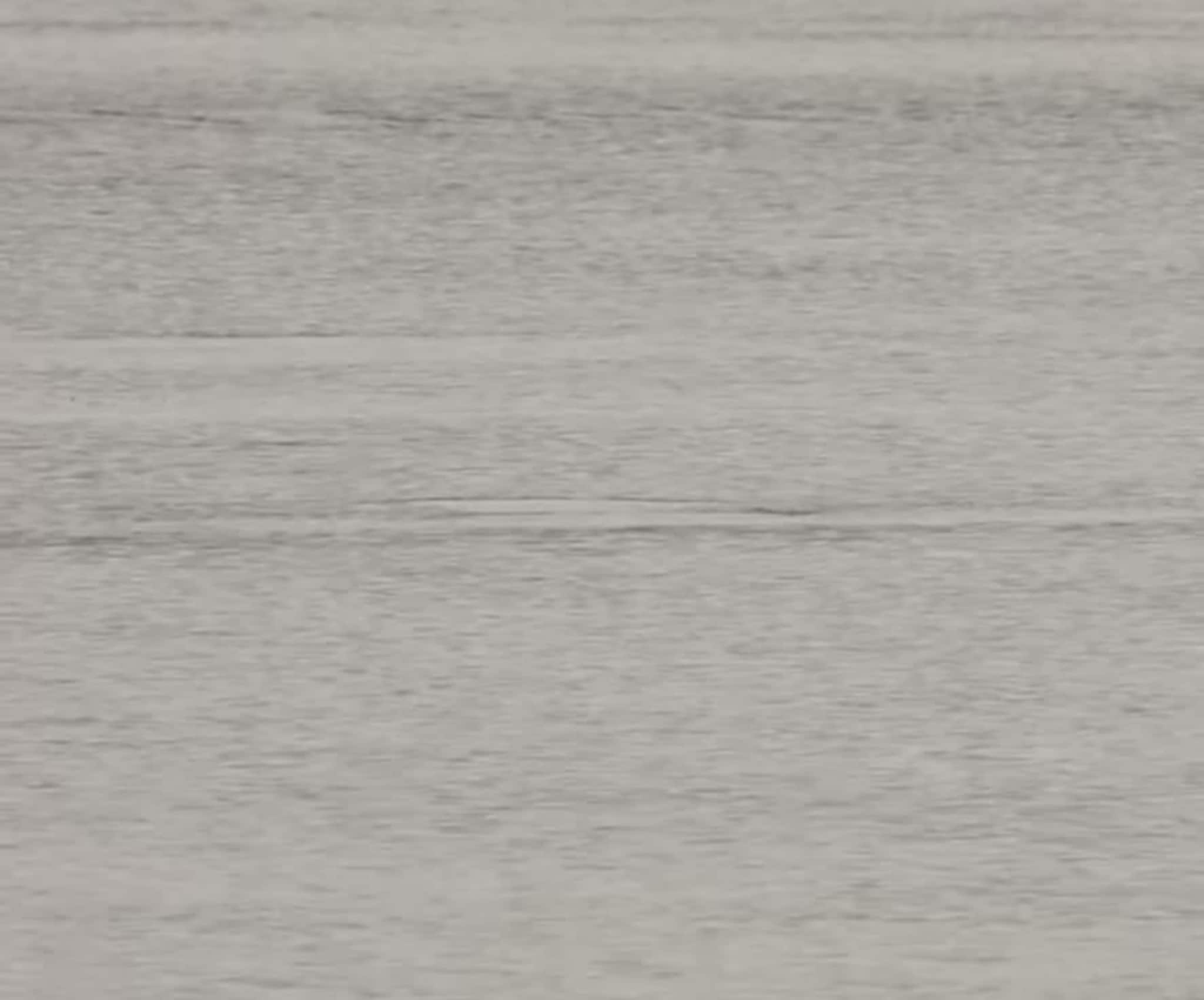 Gulflankedelfin i Fættenfjorden