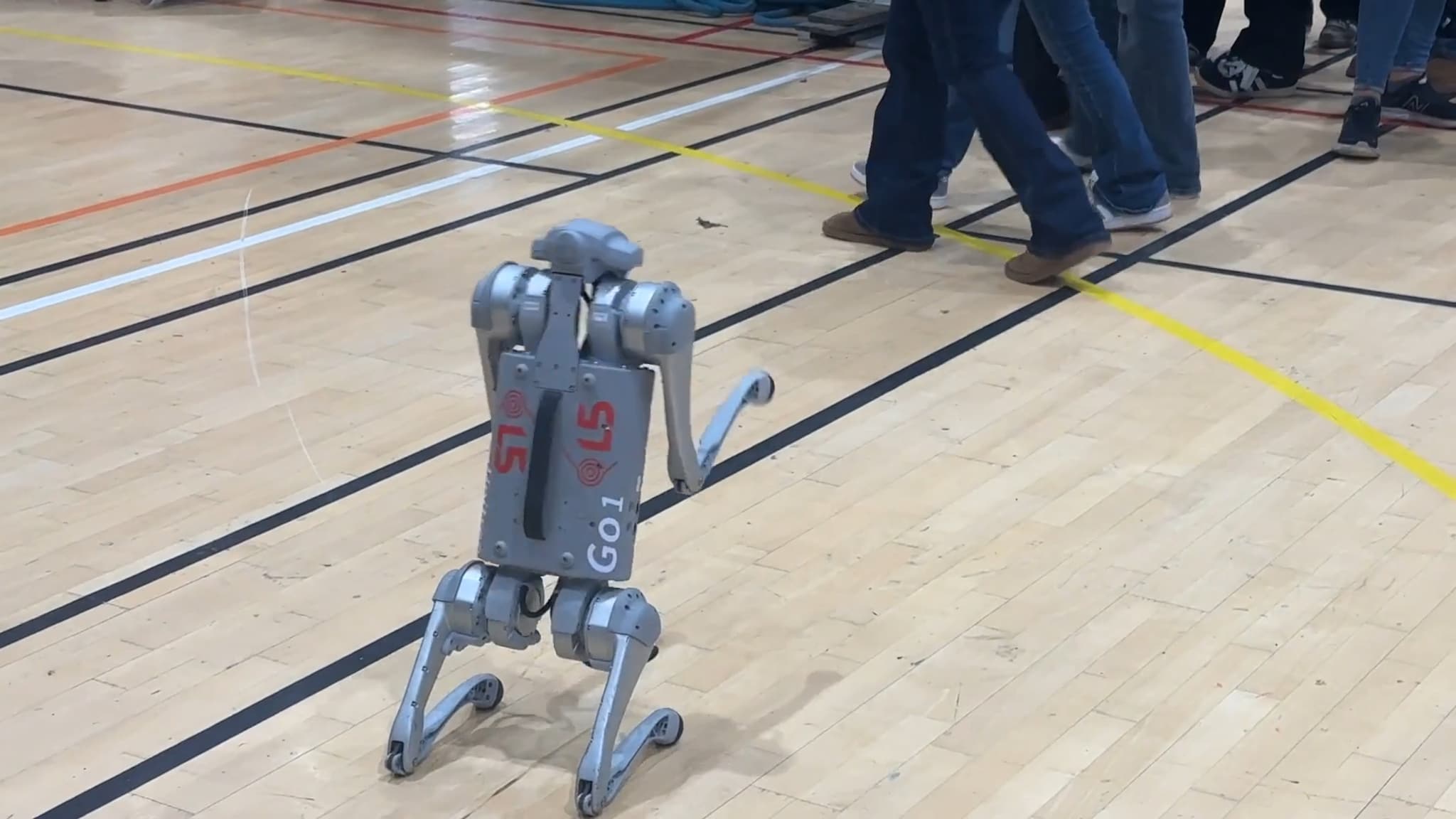 Se robothunden i aksjon på Møteplassen 2024