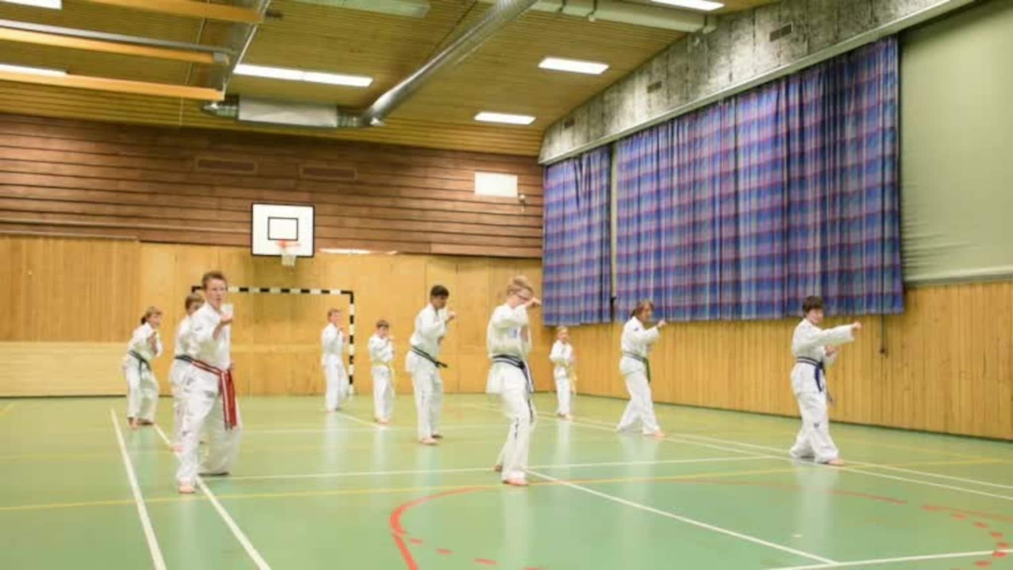 Nordreisa Taekwon-Do Klubb går mønster