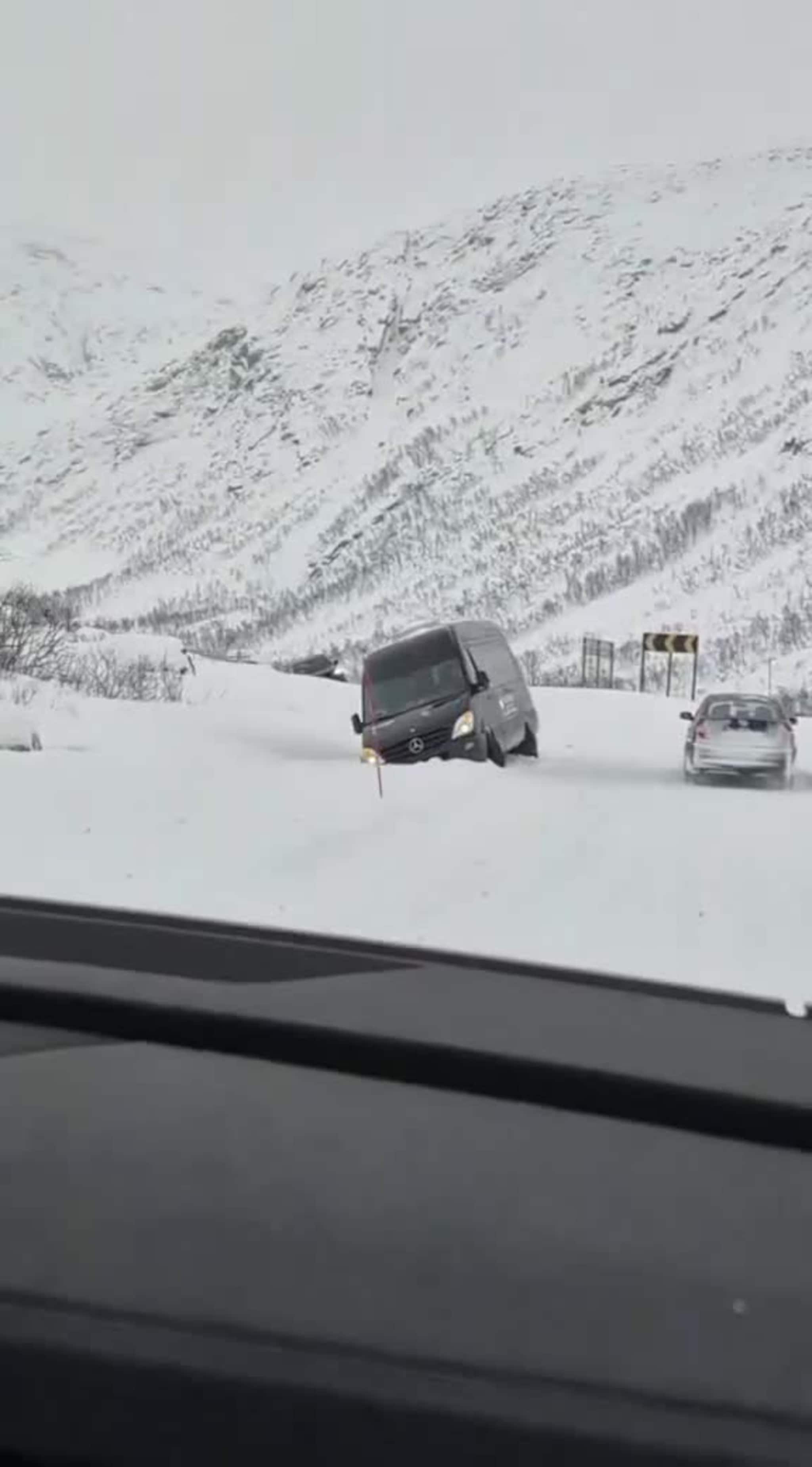 Kattfjordeidet