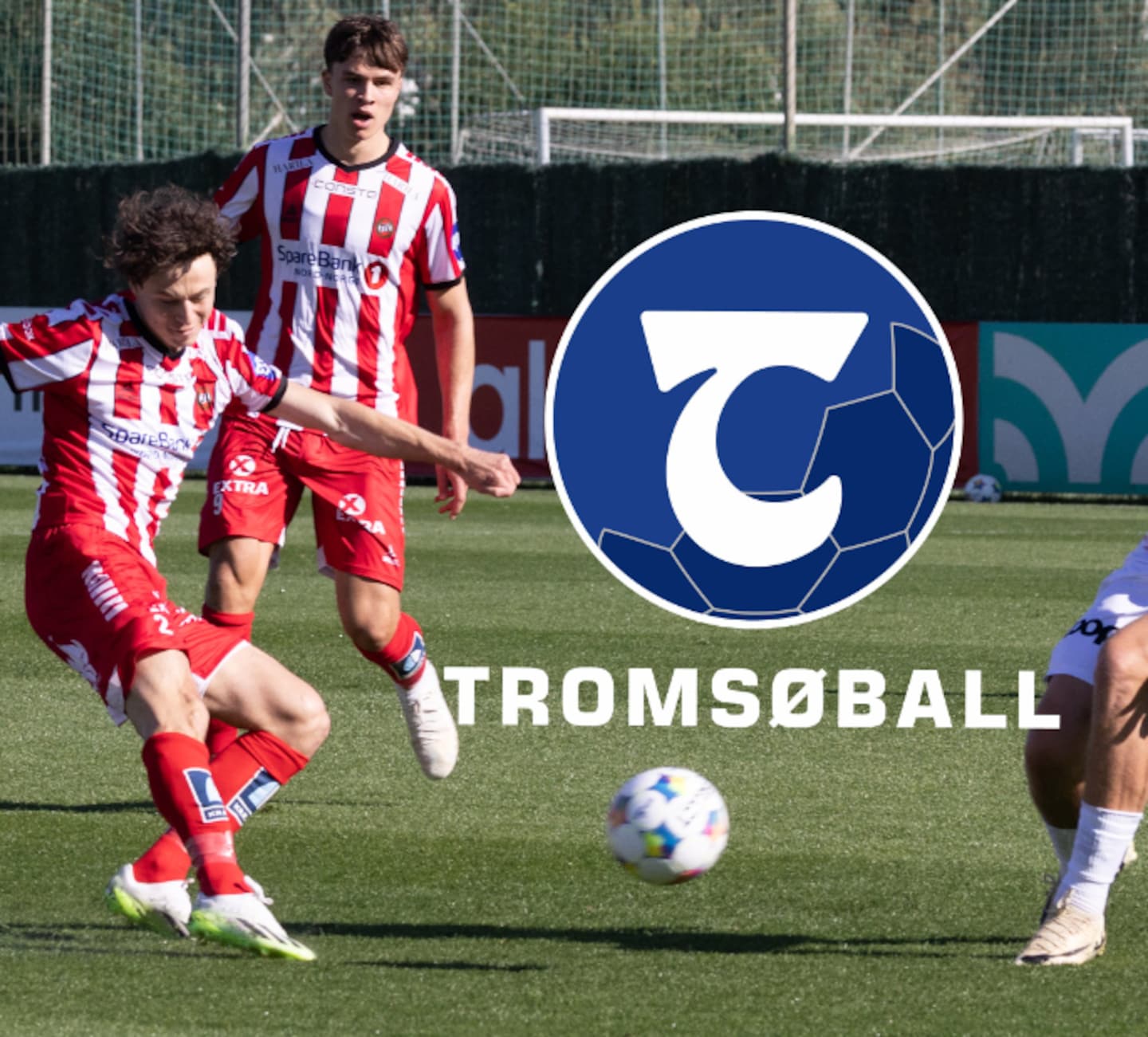 #152 Derfor er TIL storfavoritter