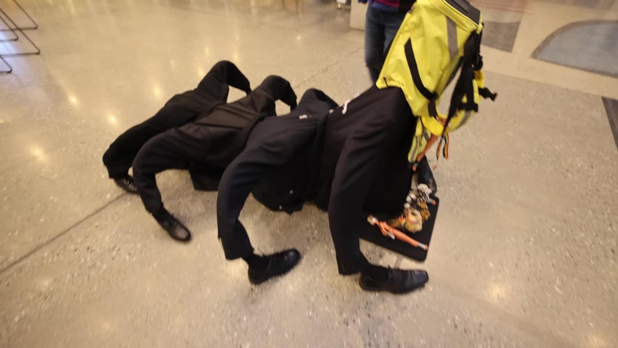 Edderkoppkunst på Tromsø rådhus
