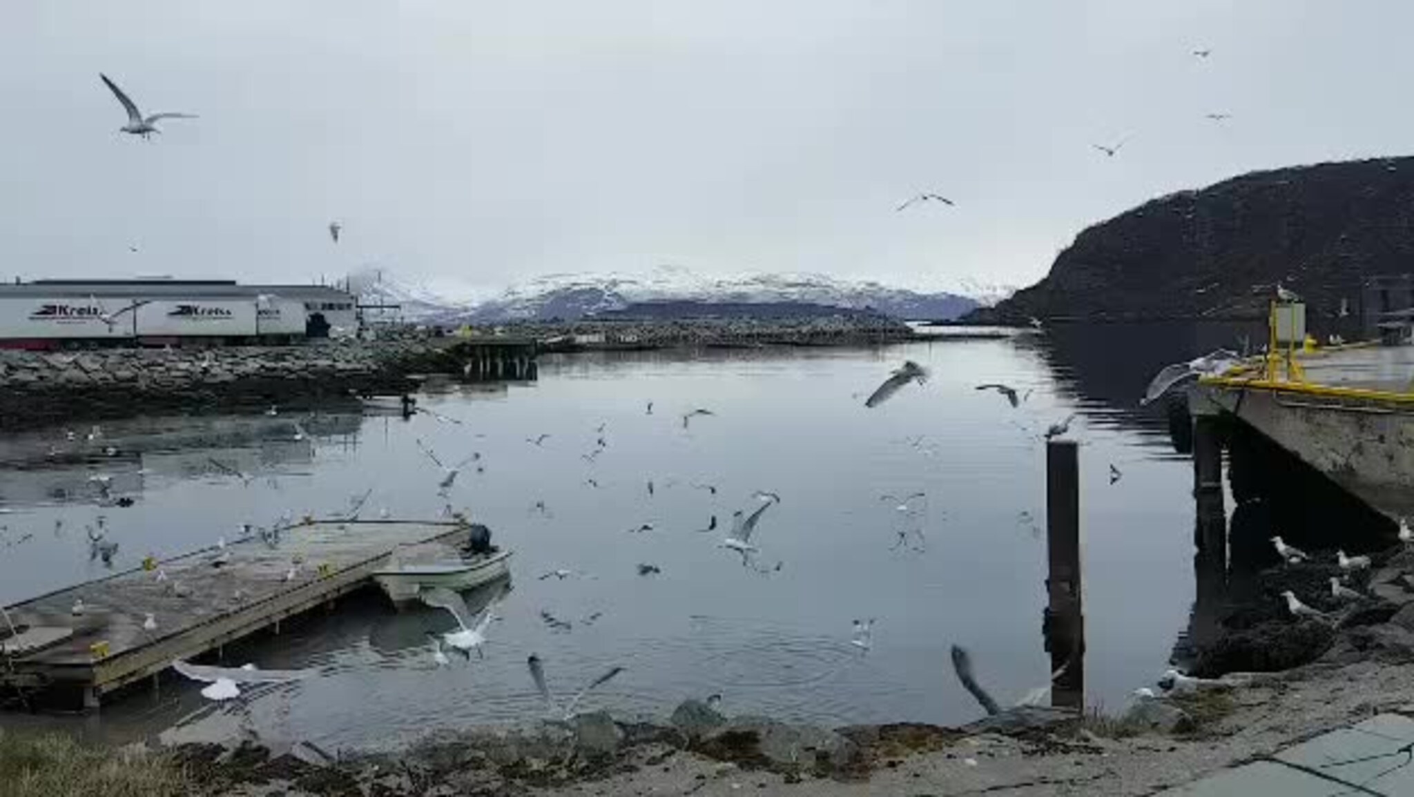 Forurensning på Skjervøy