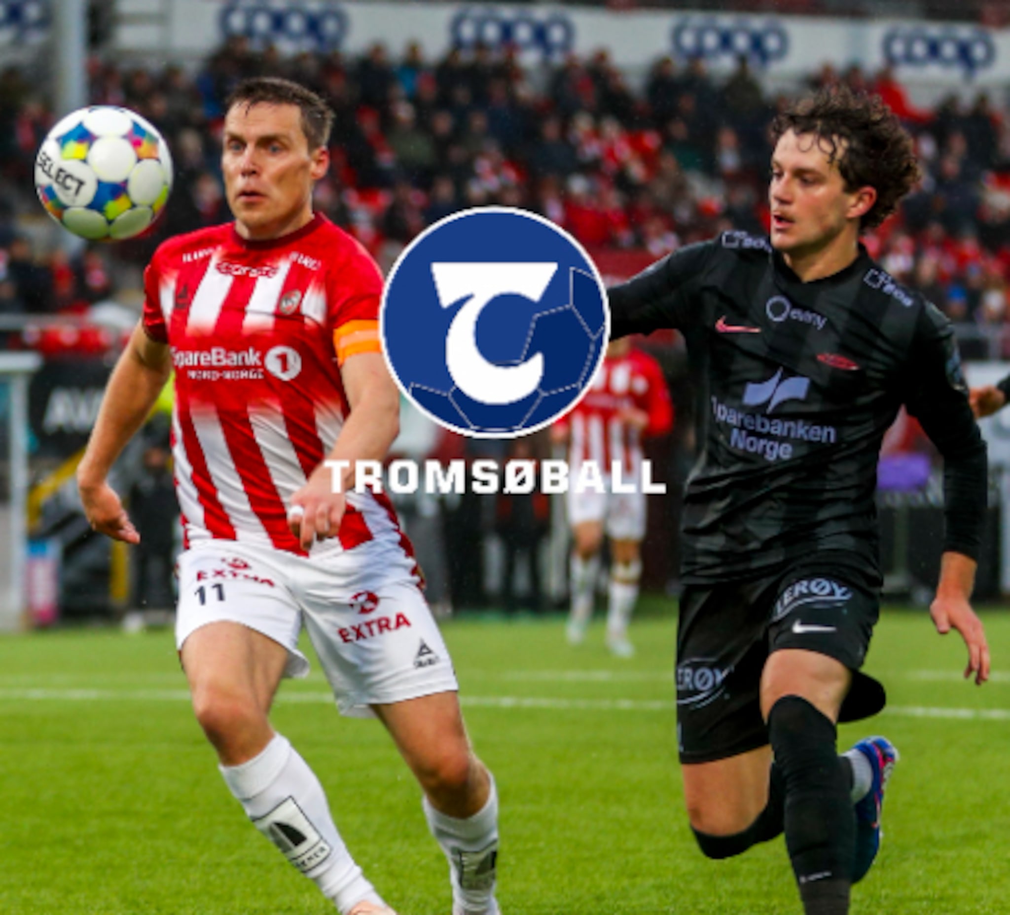 #163 – Hva slags «dyr» ønsket de å være?