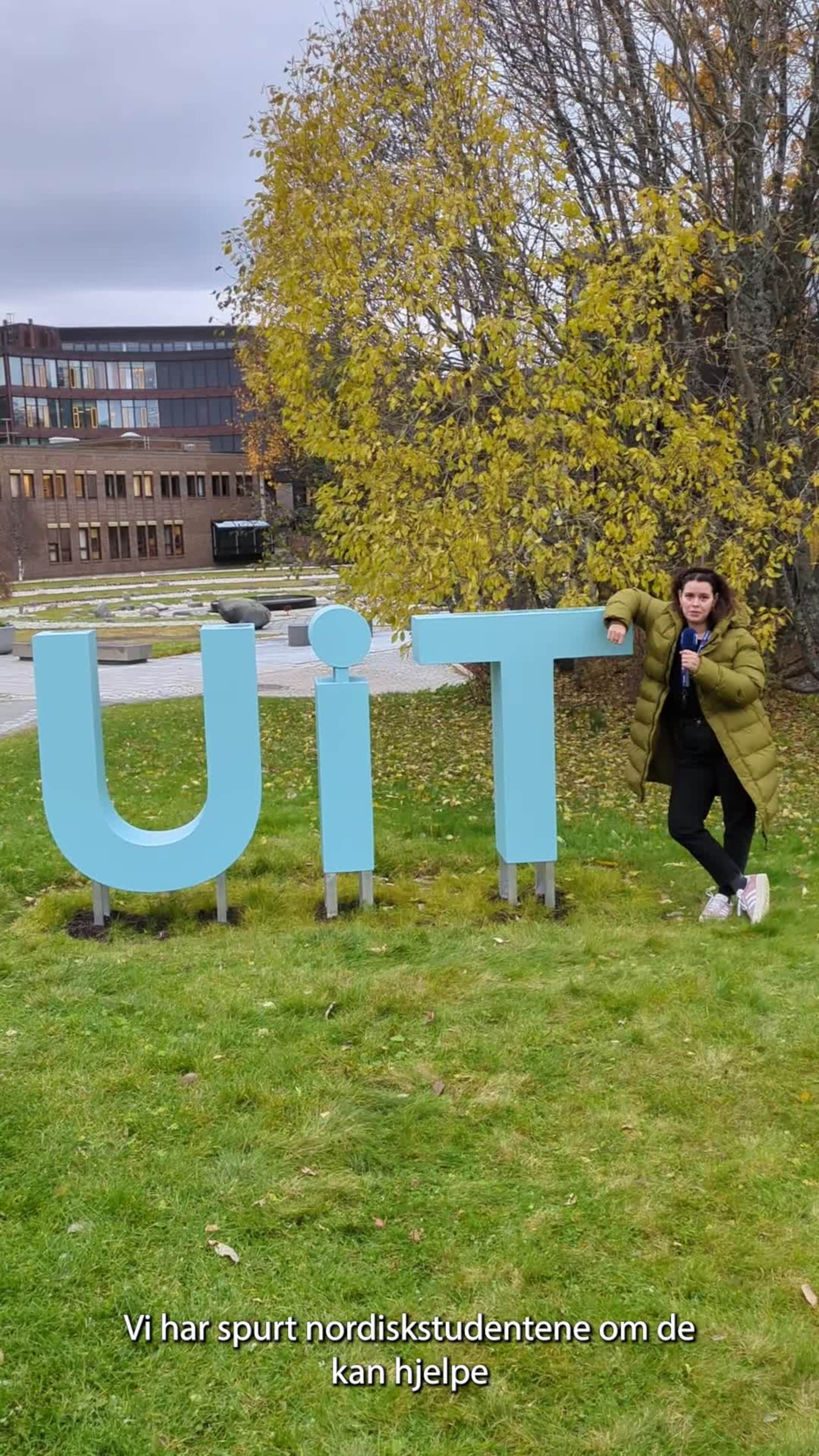 Vet du hva disse ordene betyr?