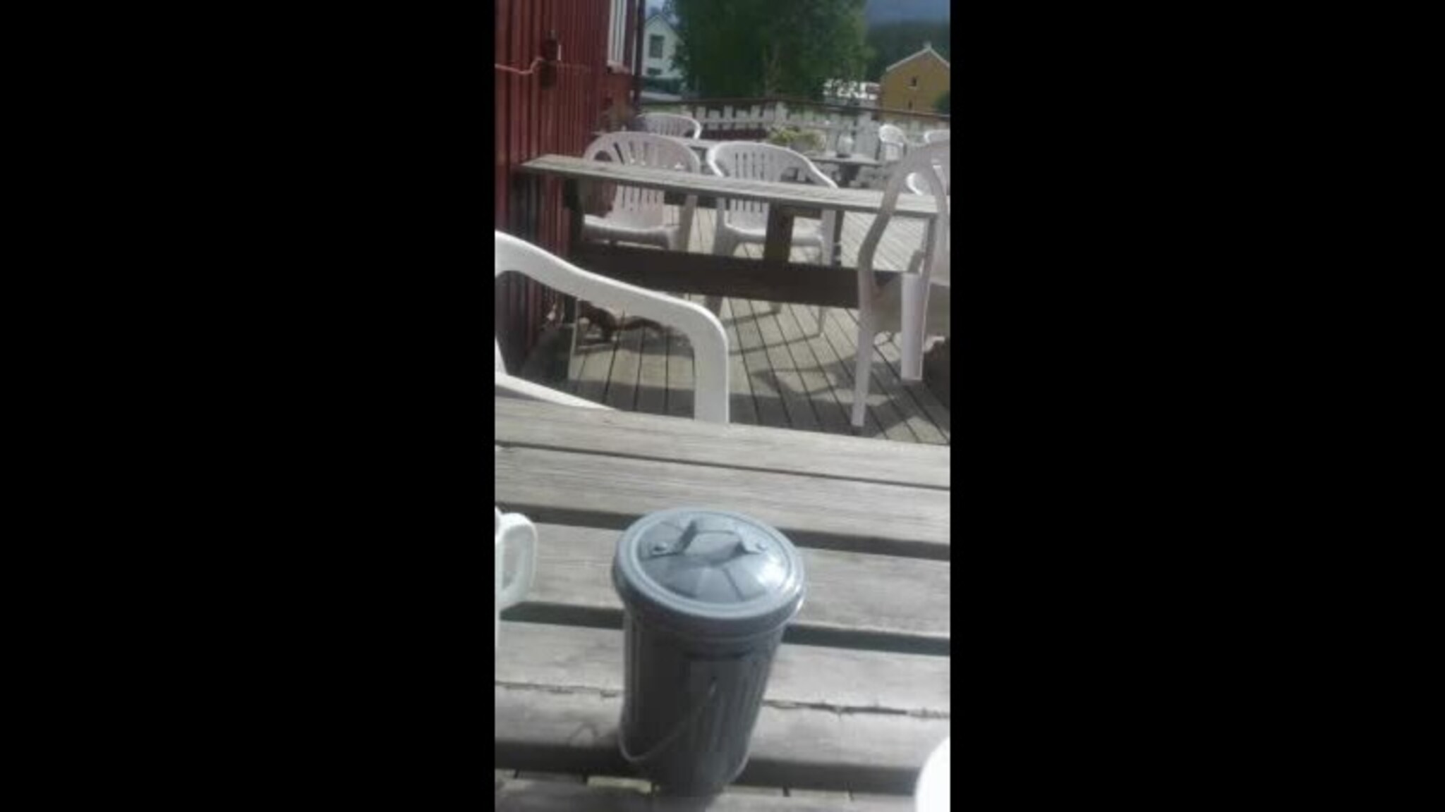 Nøtteliten deltok på lunsjen