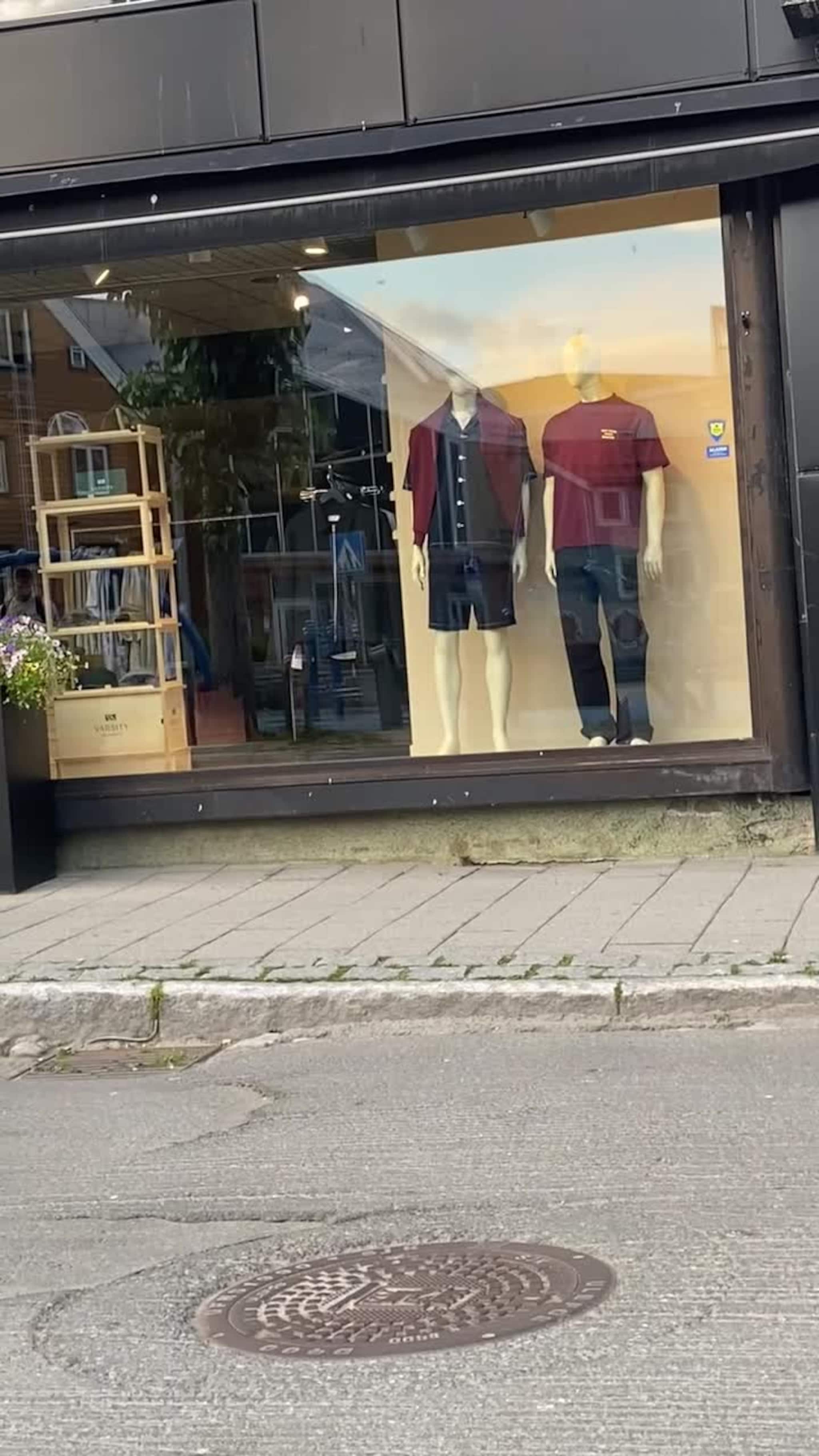 Rotte midt på lyse dagen