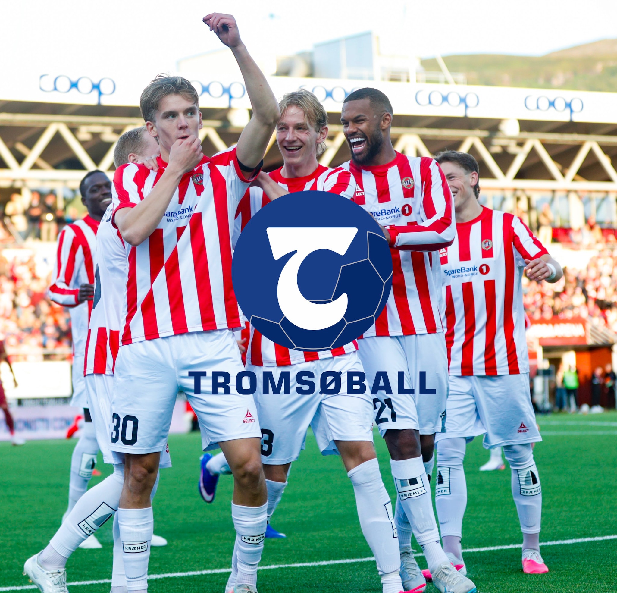 #188 – Vårres måse e større enn dåkkers måse