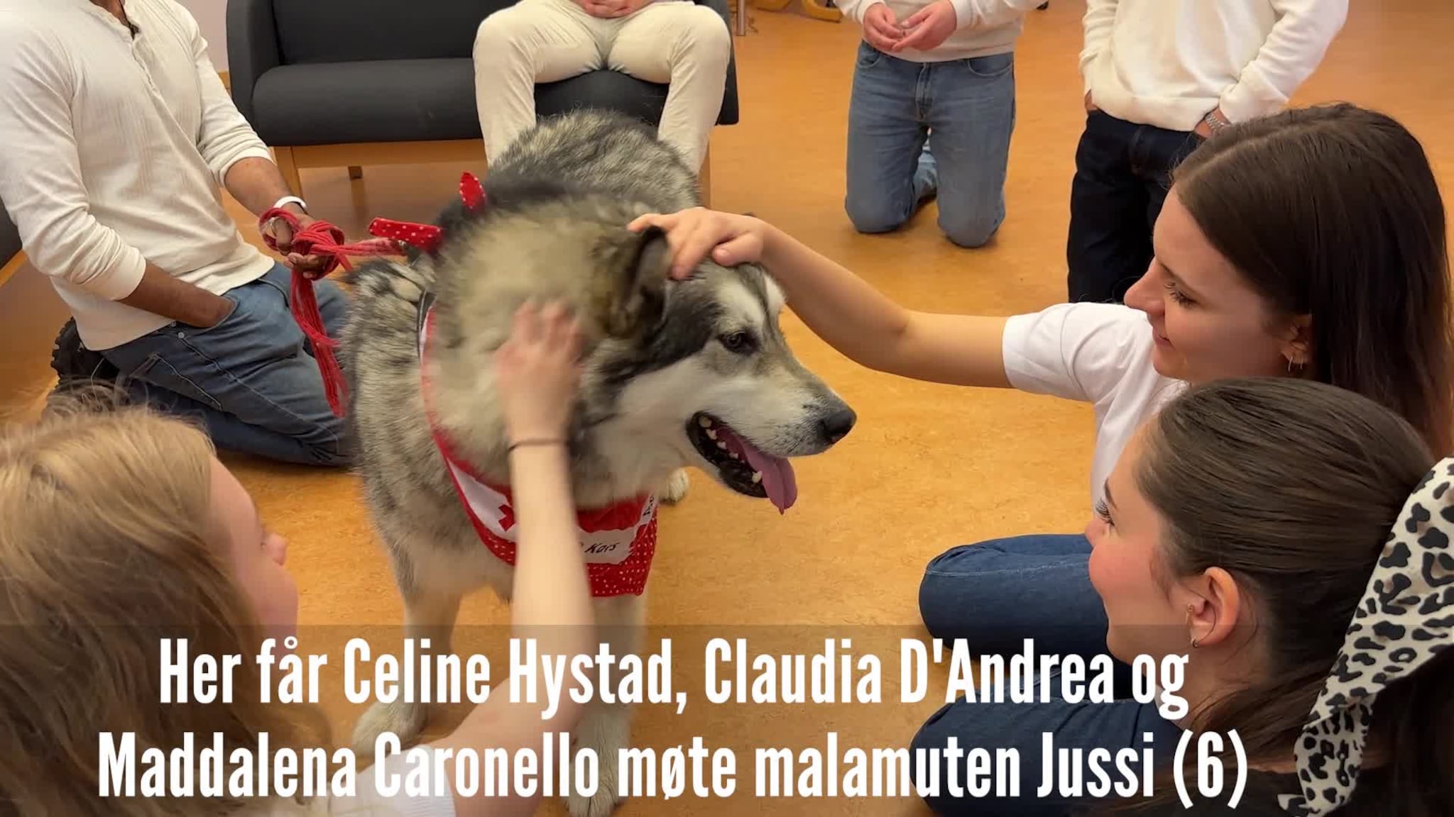 Får møte Jussi