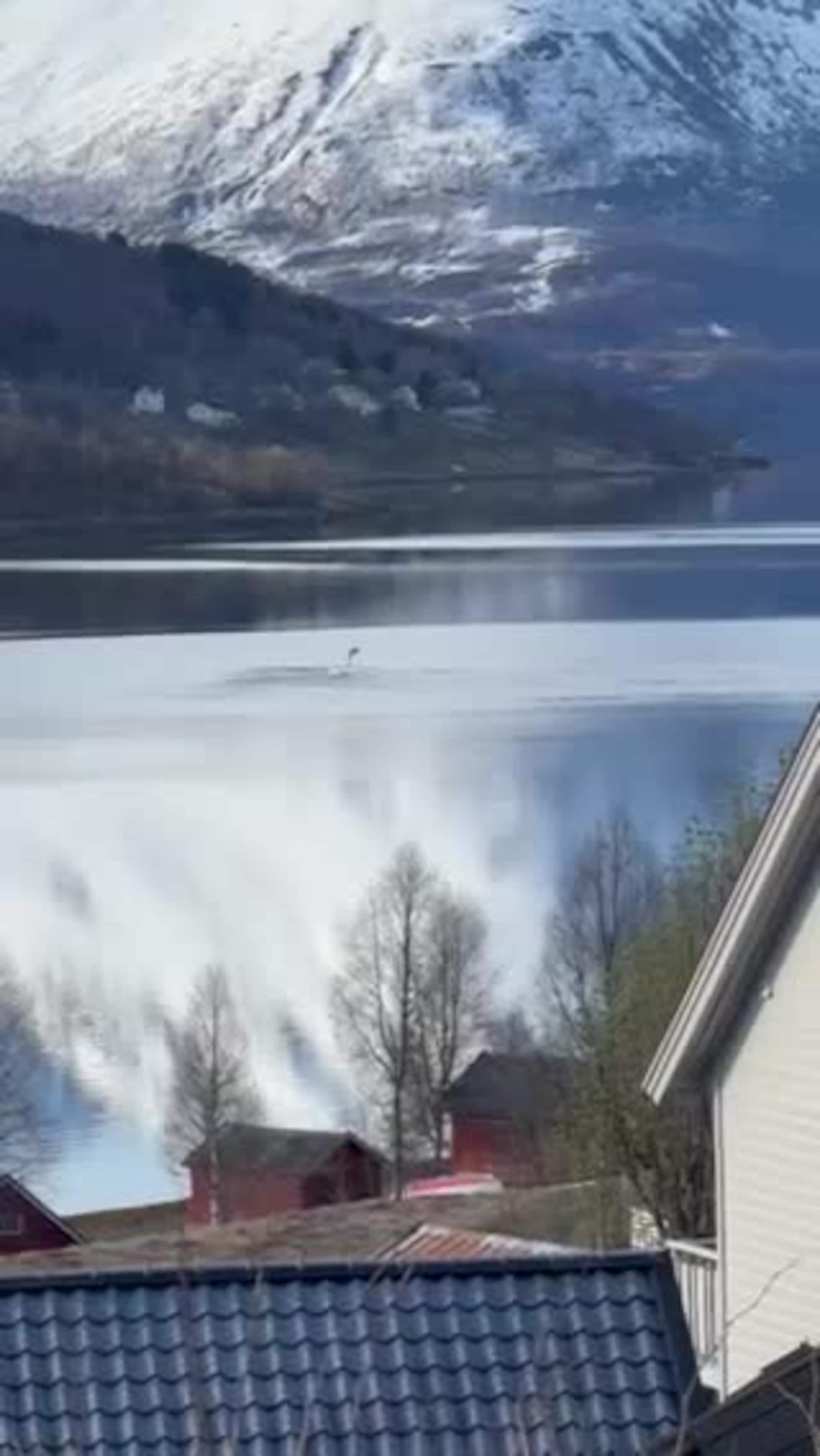 Springere i Ramfjorden