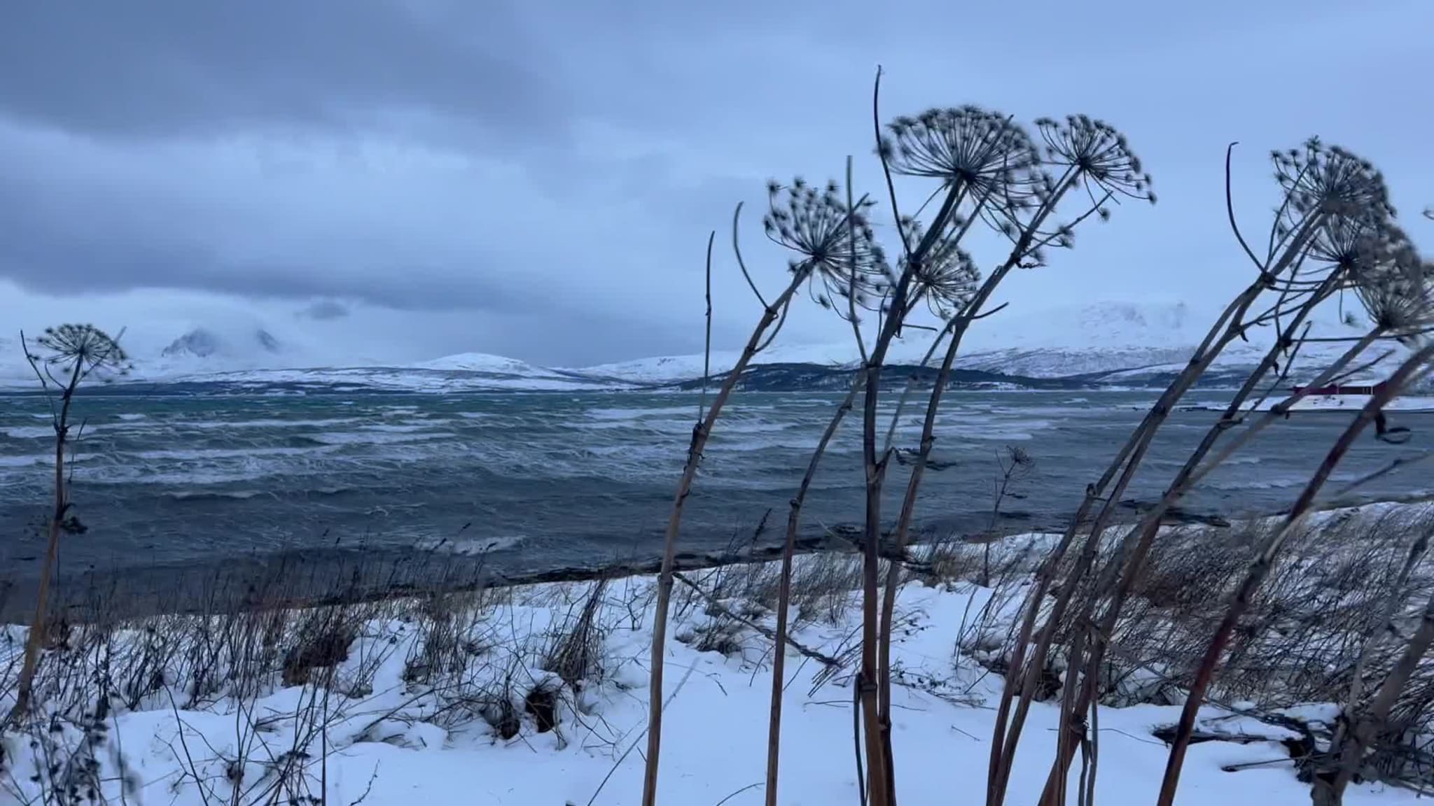 værvideo22112023 vind storm ronald.MOV
