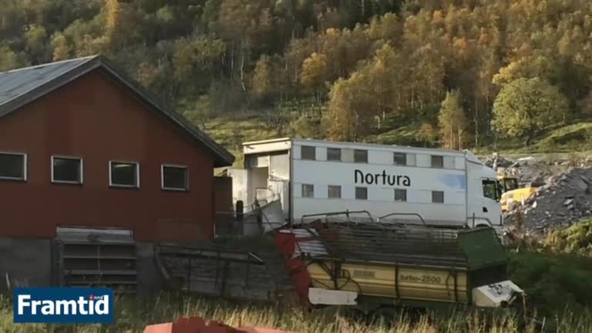 Her blir geitene sendt til slakting