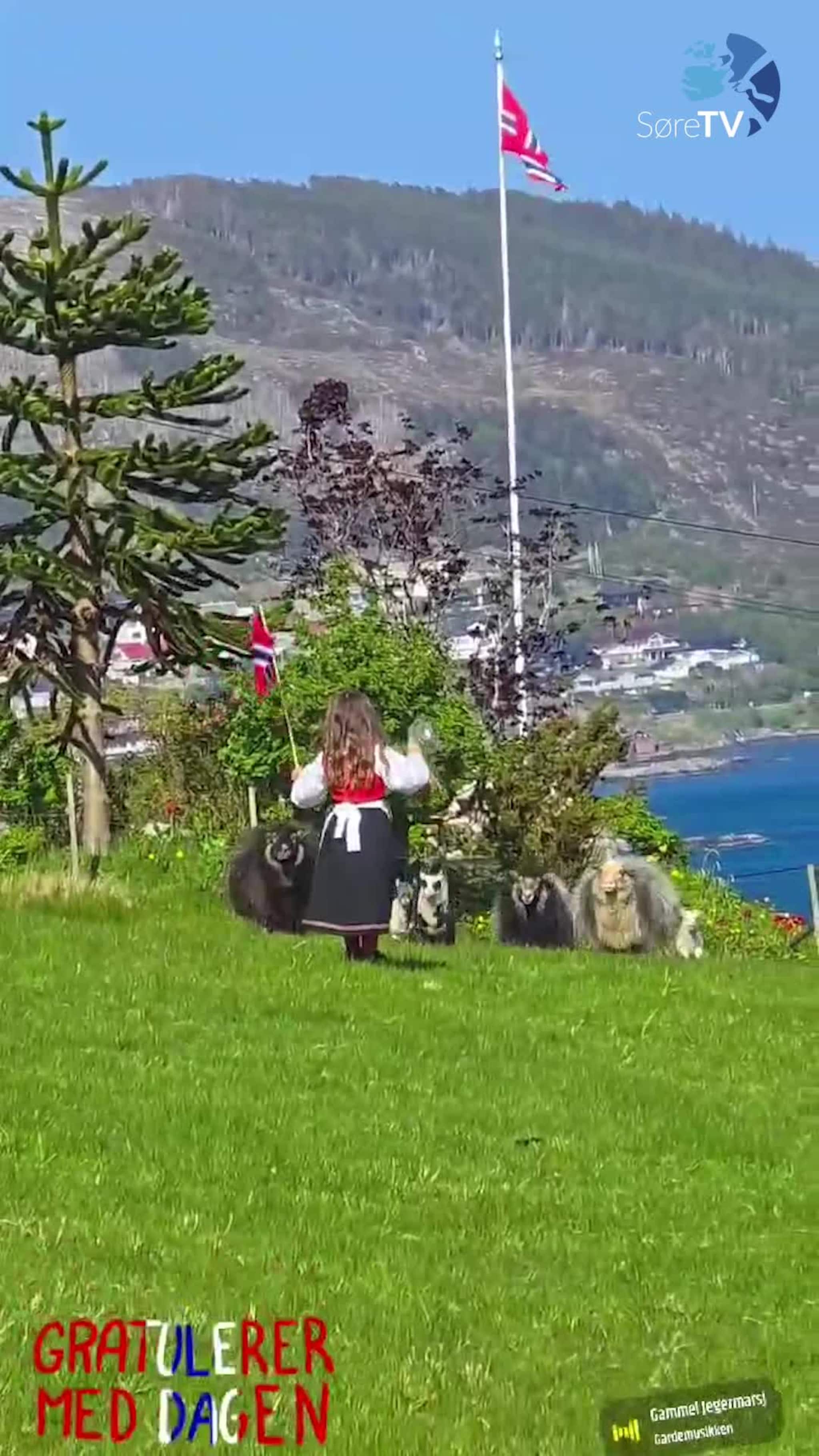 Brekande 17. mai-tog