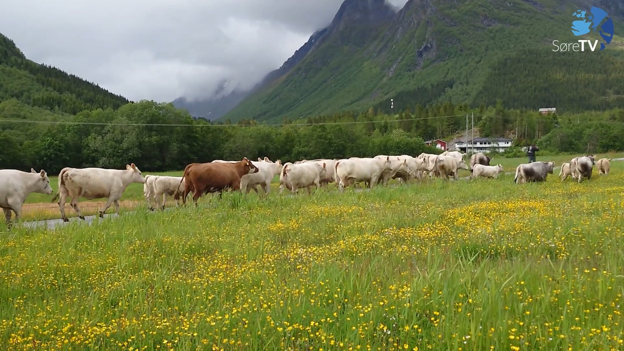 På veg til Øyadalen