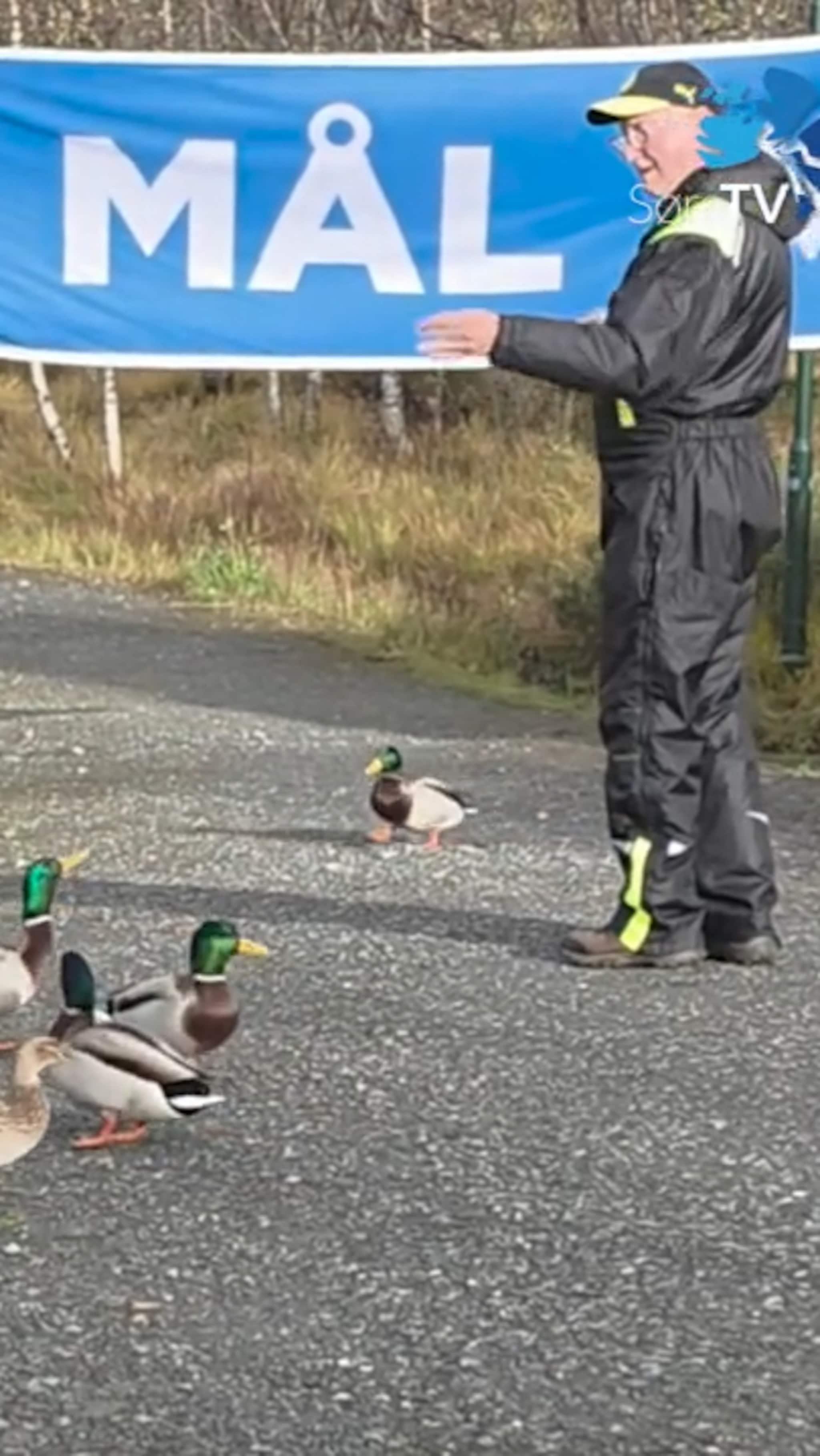 Får endene til å møtast