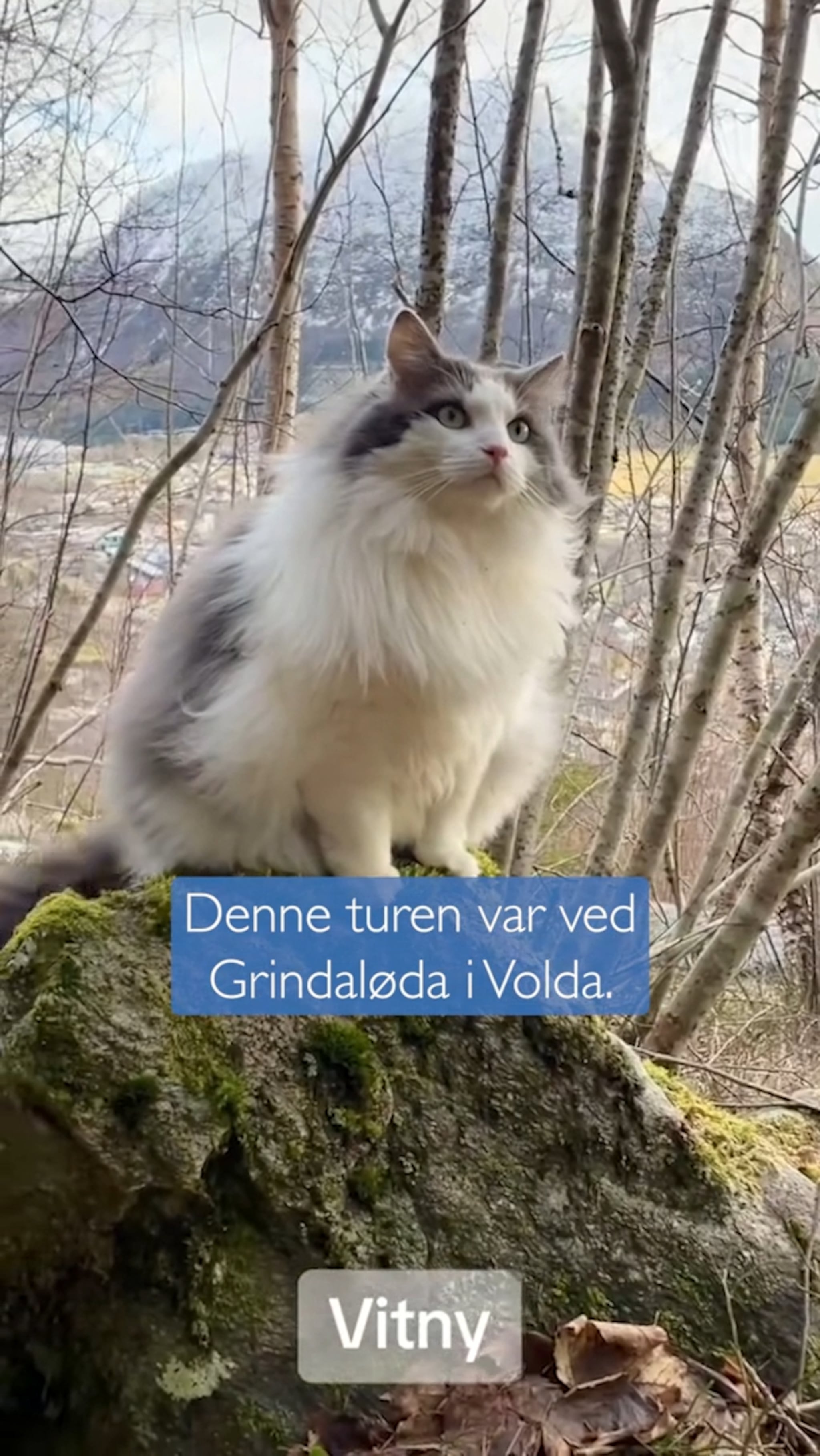 "Skogens dronning" på tur