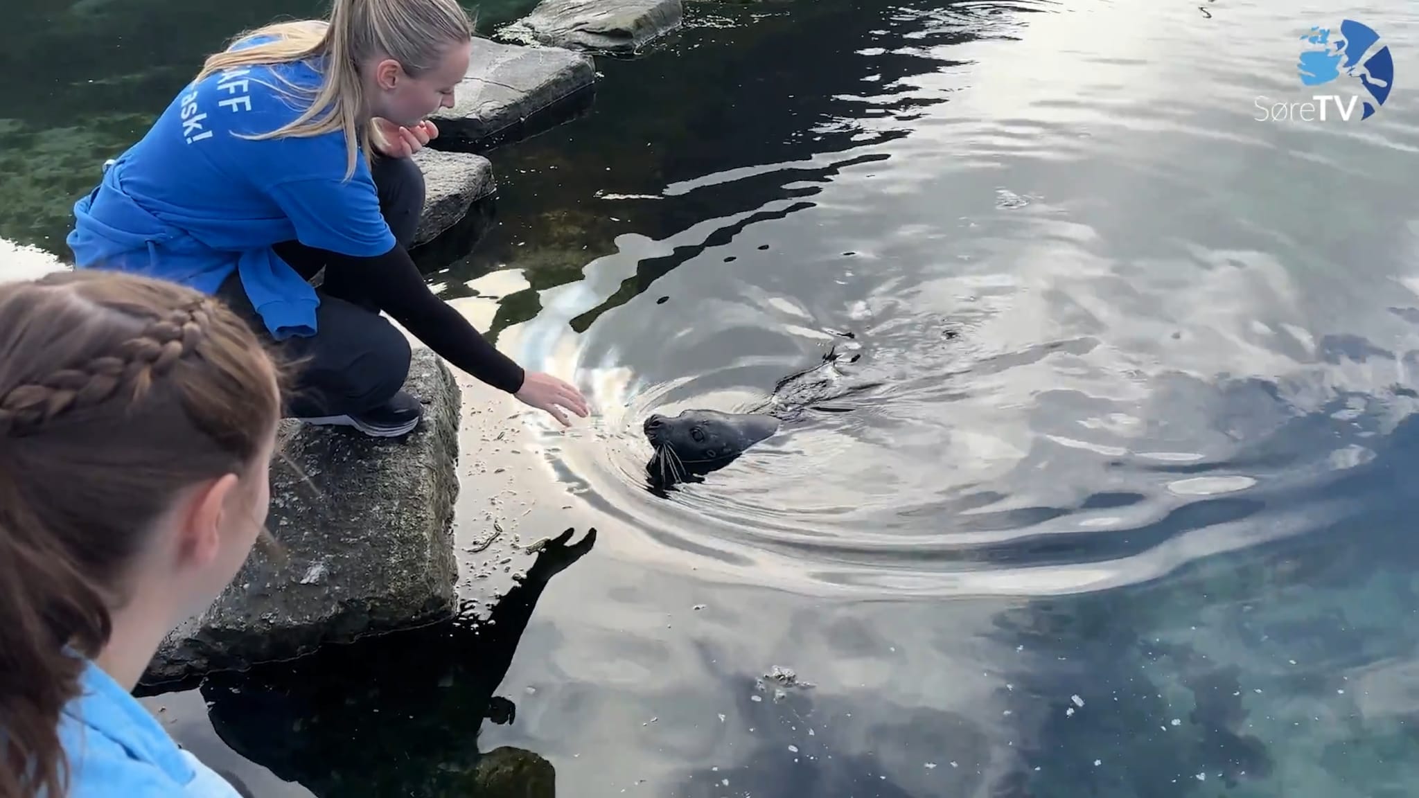 Bli med på ein dag som akvarist