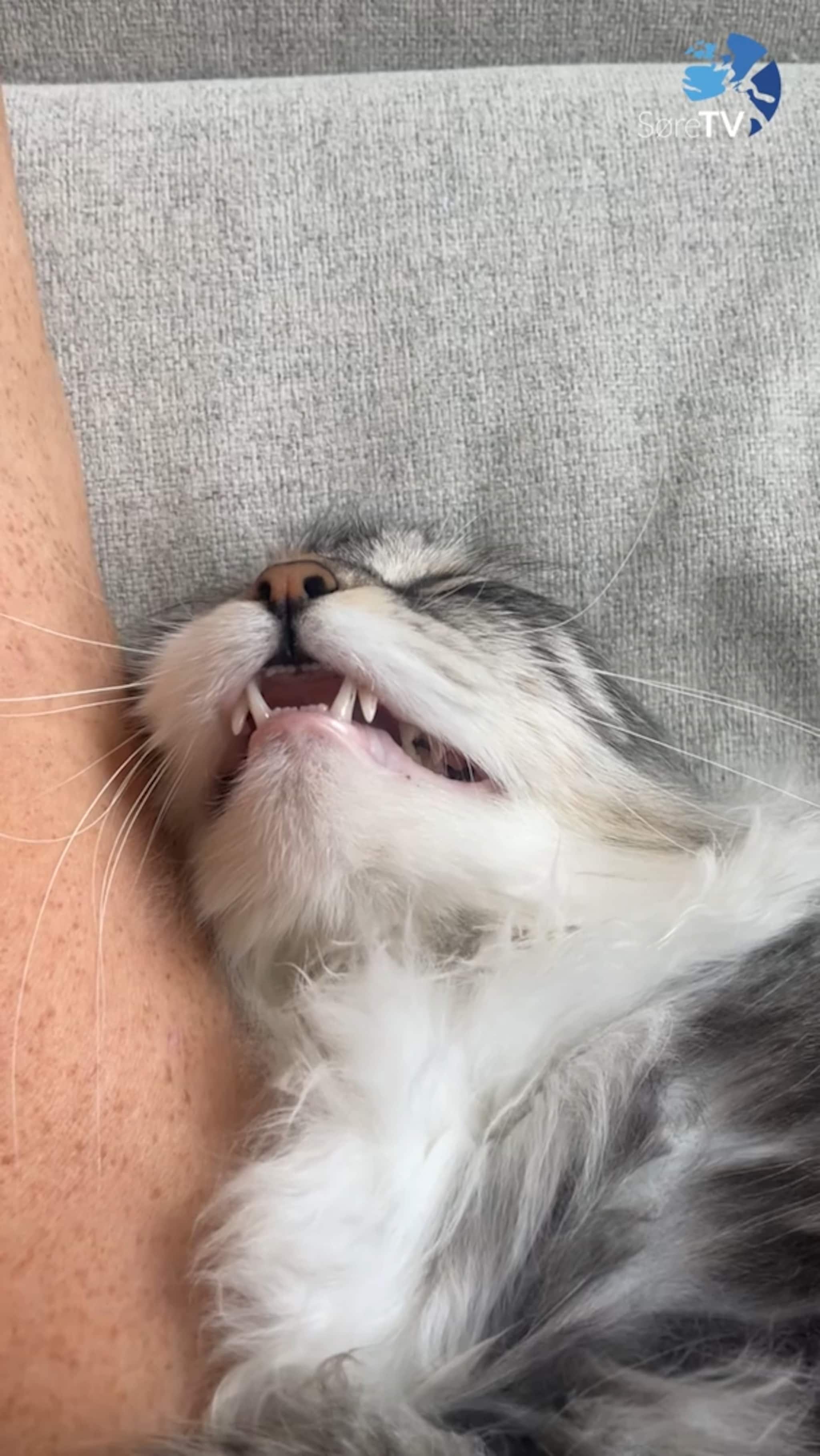 Slik ser ekte kvile ut