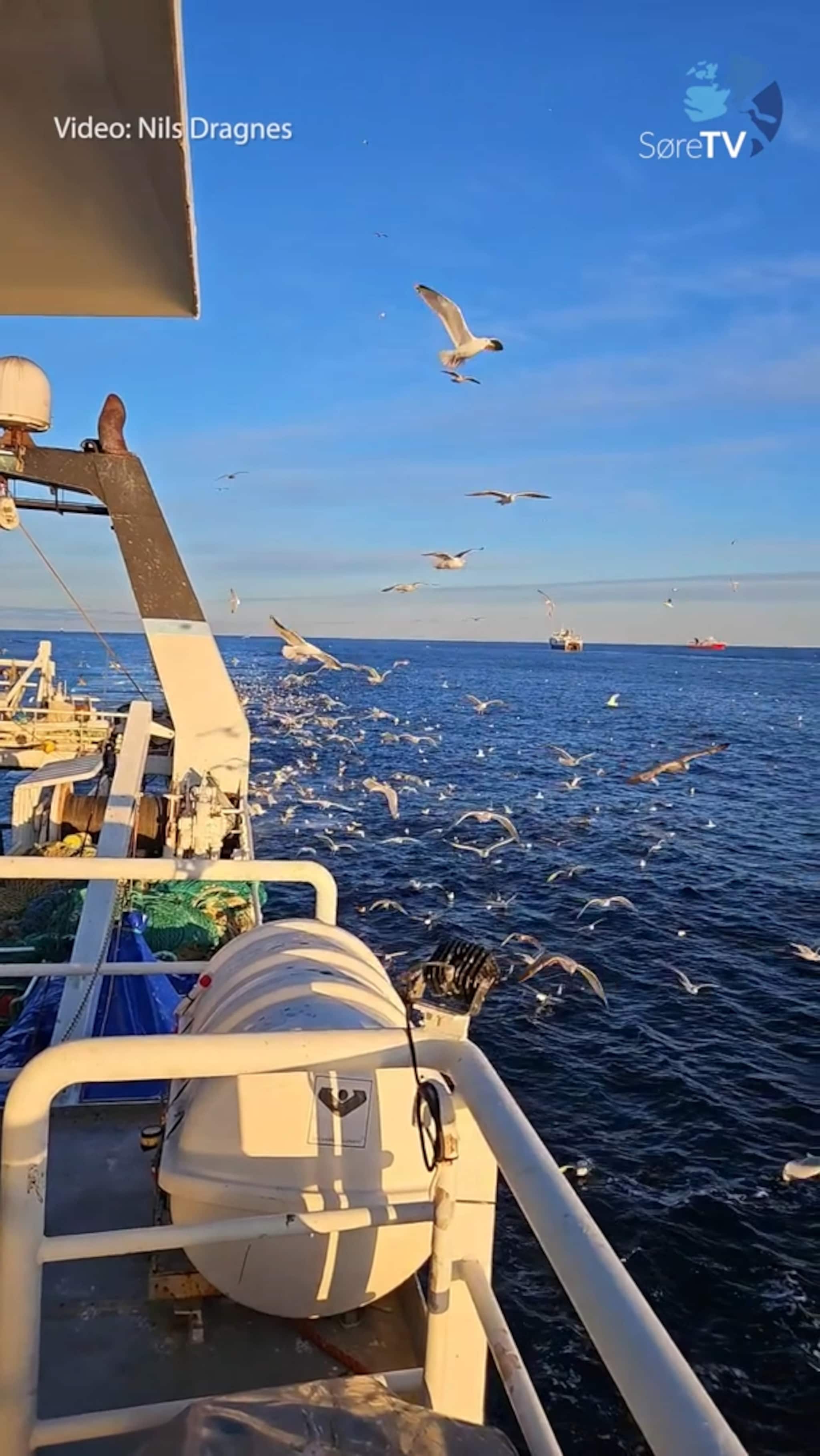 Det er fine dagar på Mørekysten