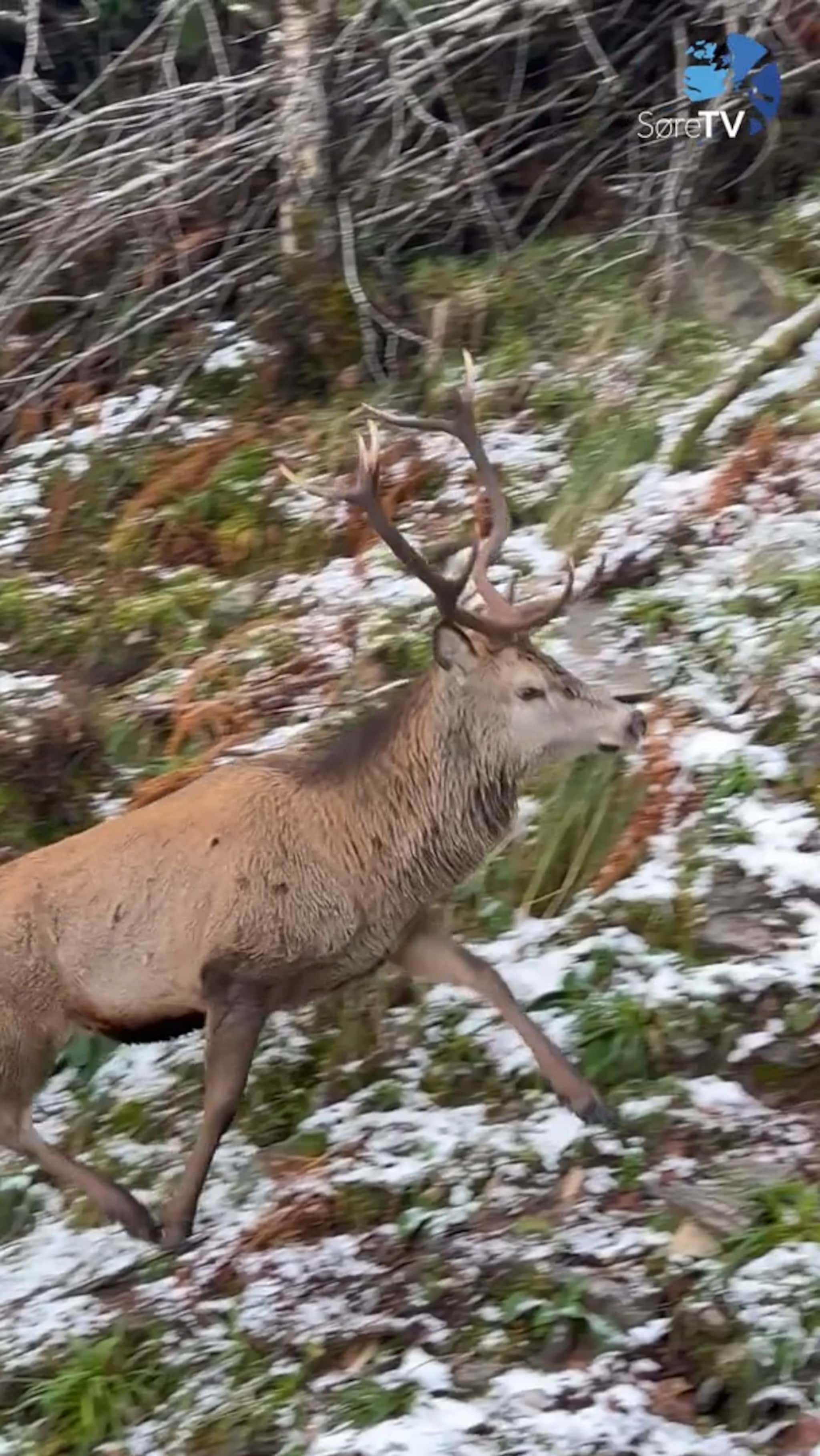 Dette har Iver aldri opplevd før