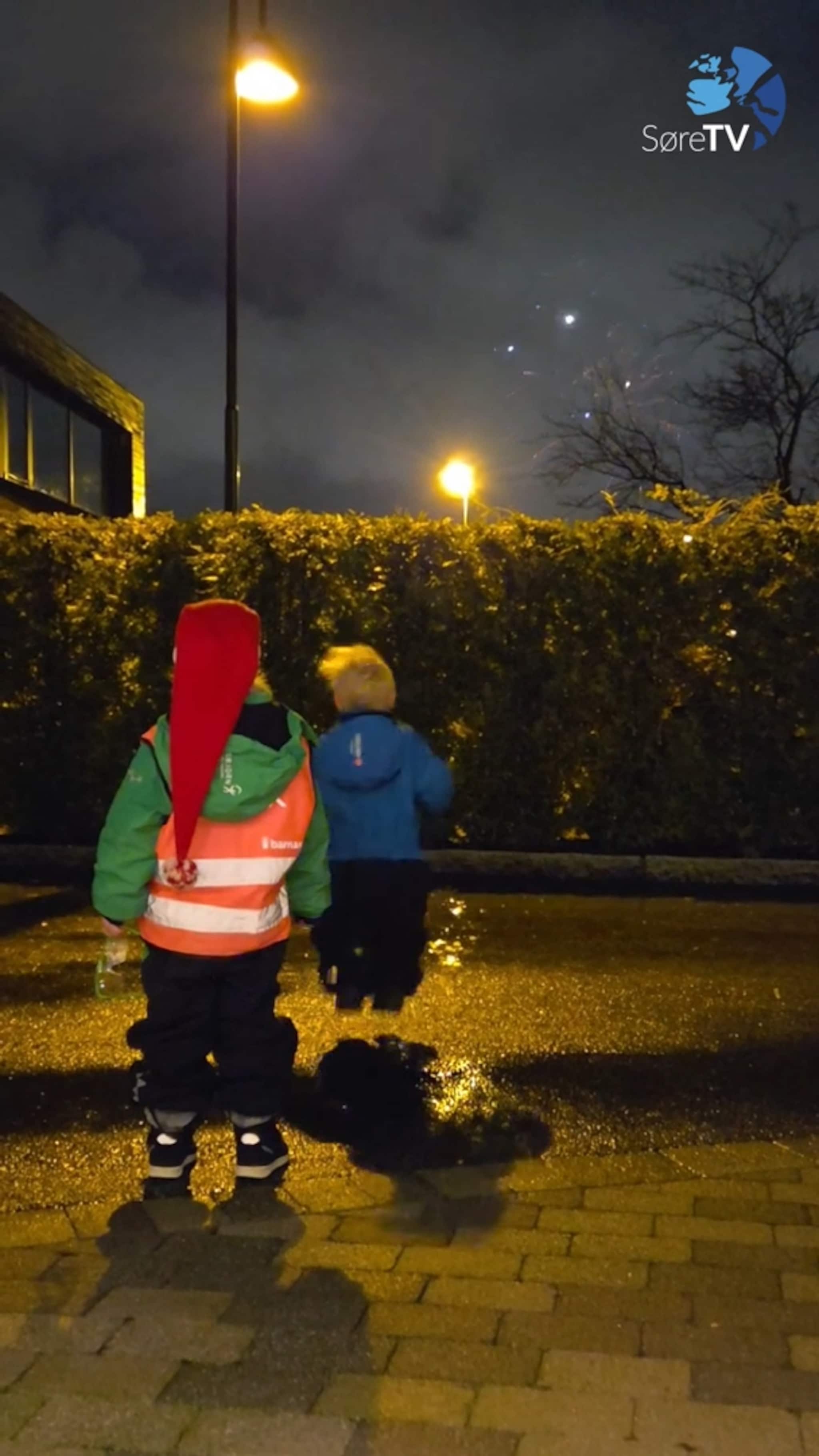 Hoppande glade for fyrverkeri