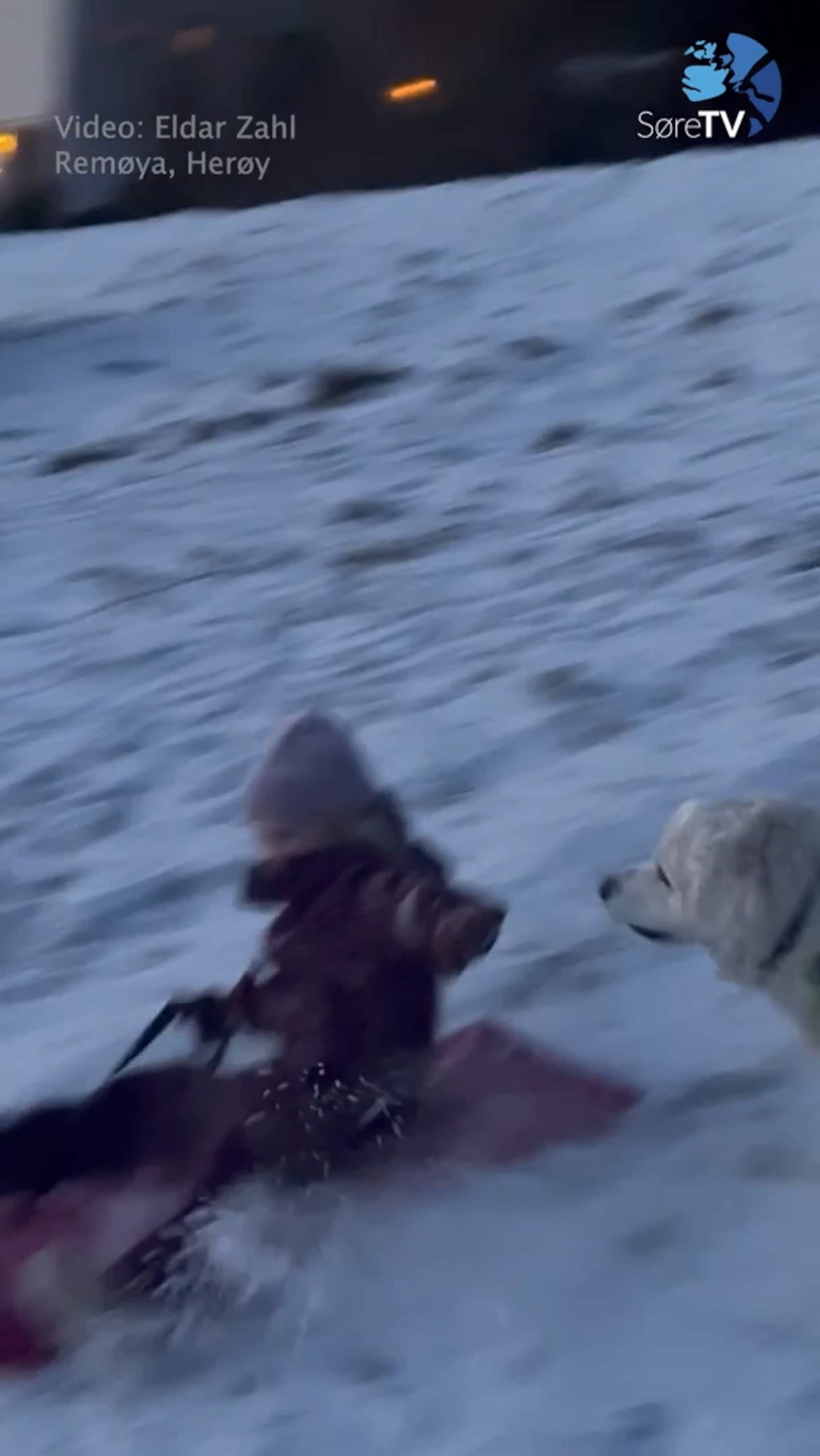 Sjå konkurransen i akebakken