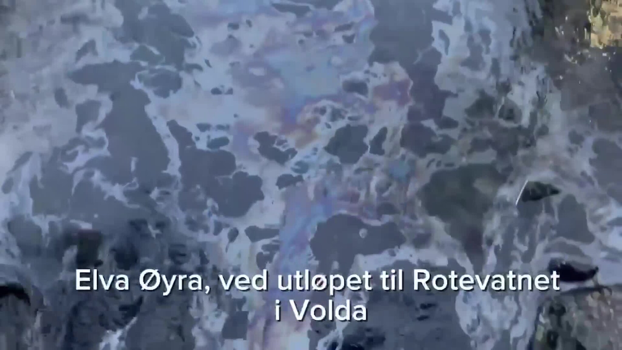 Sjå oljeutsleppet i elva