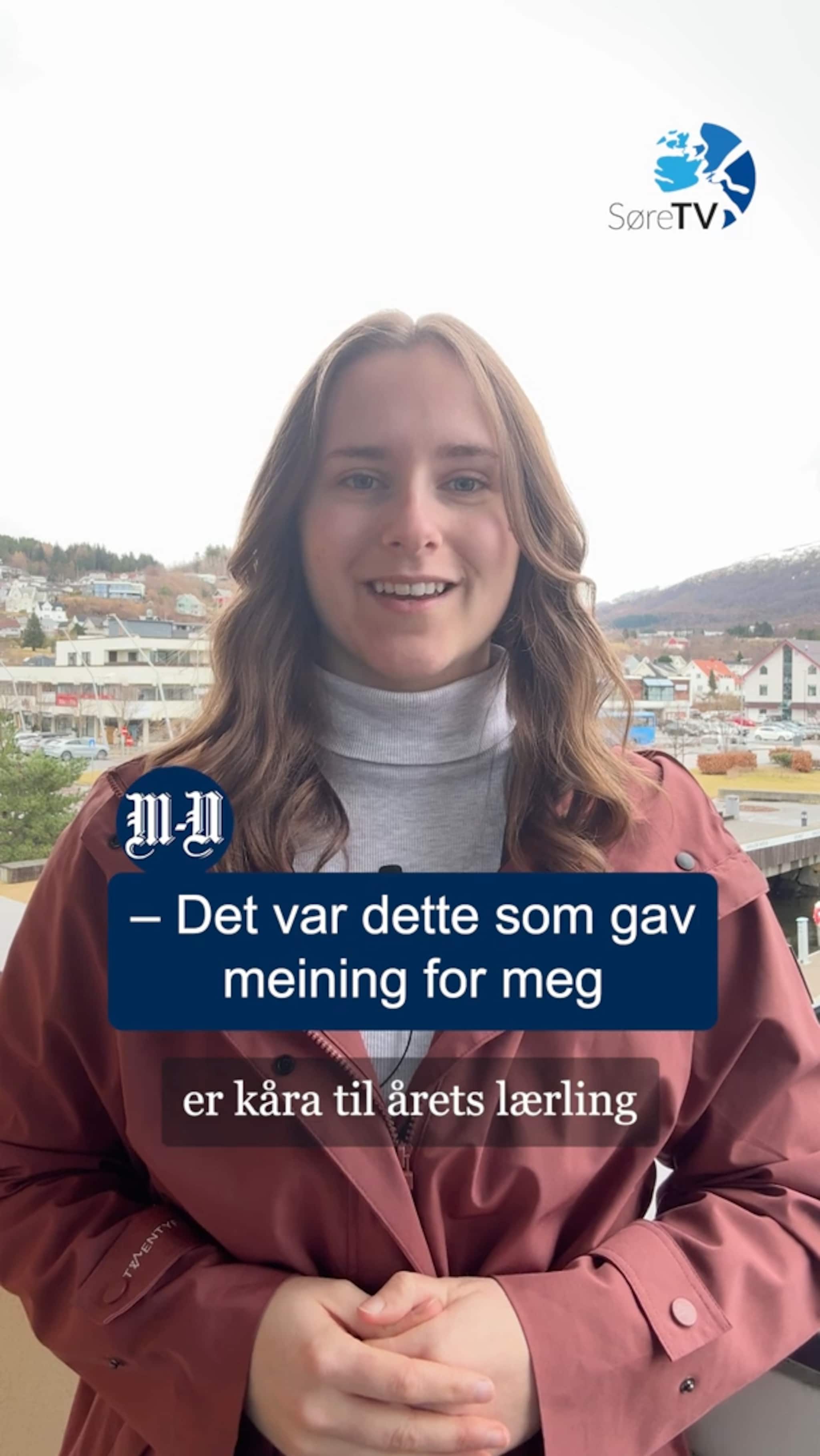 Valdshening, opning og pris