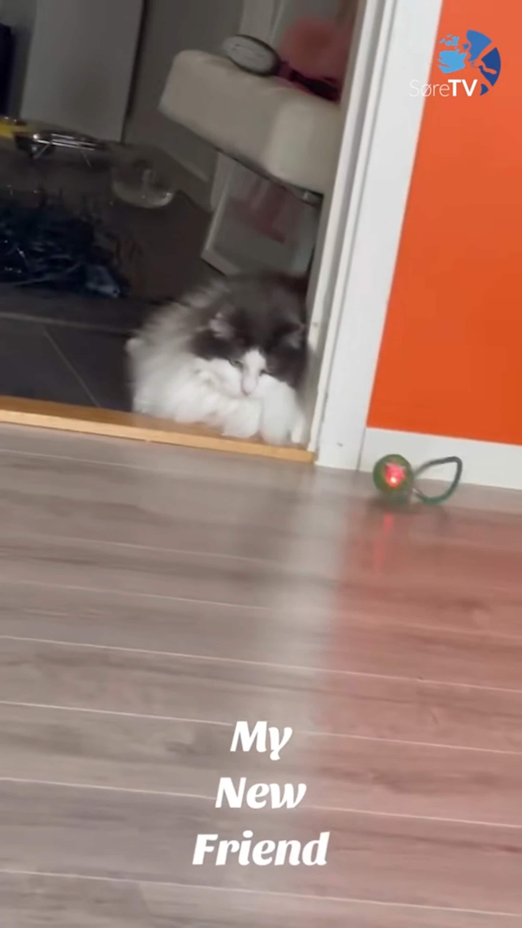 Temu fungerer ikkje for alle