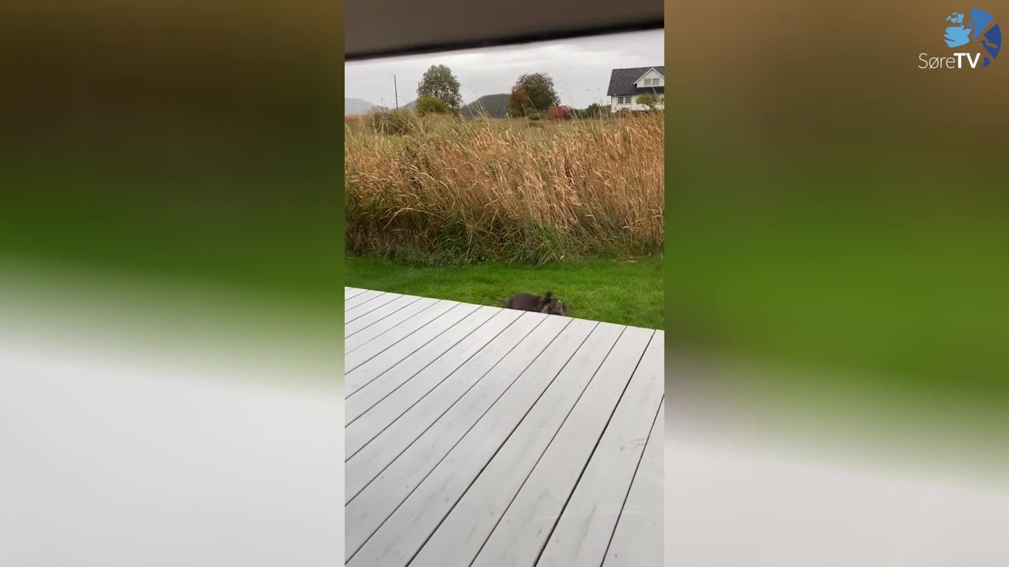 Leik eller alvor?