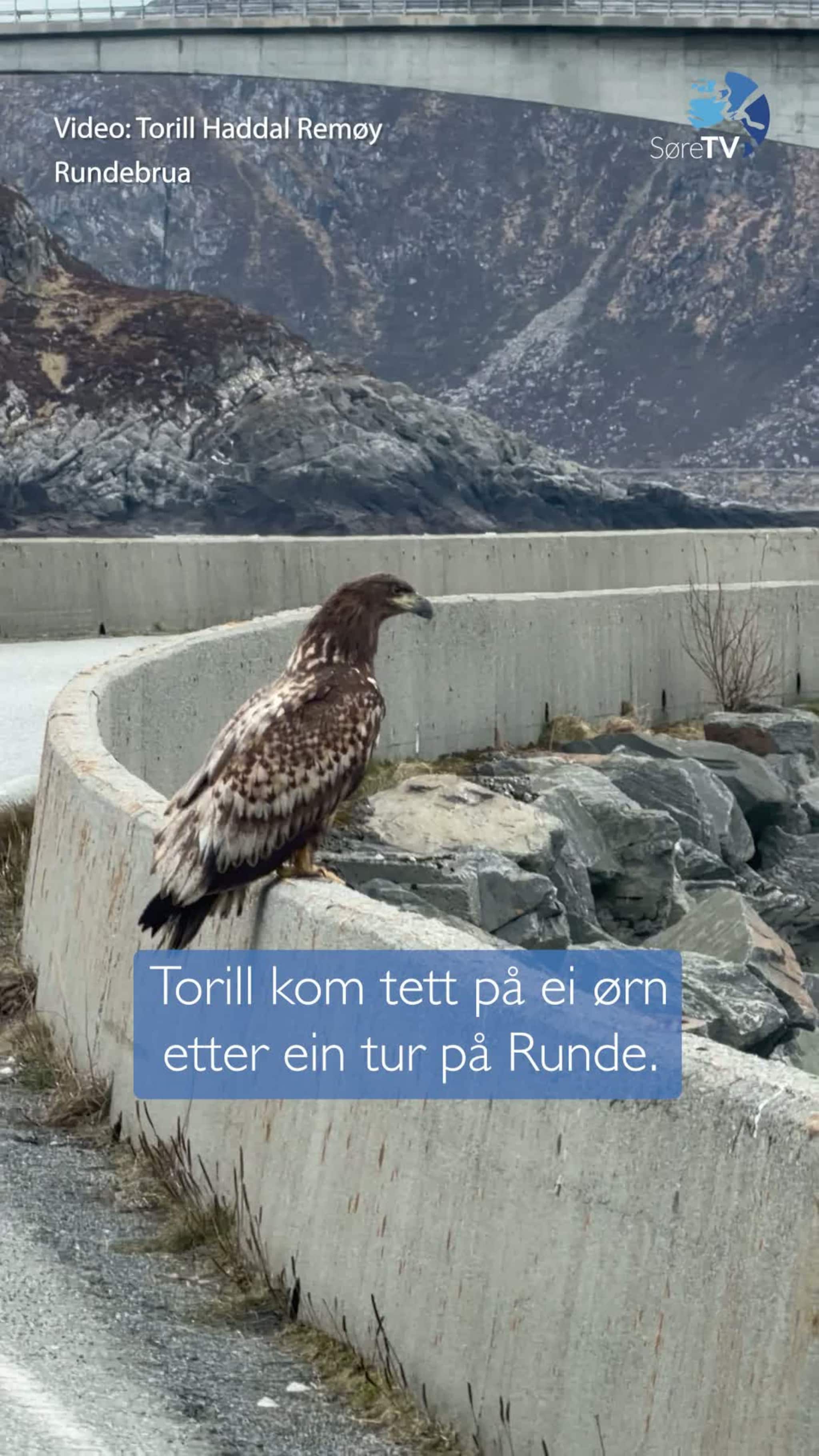 Dette har ho aldri opplevd før