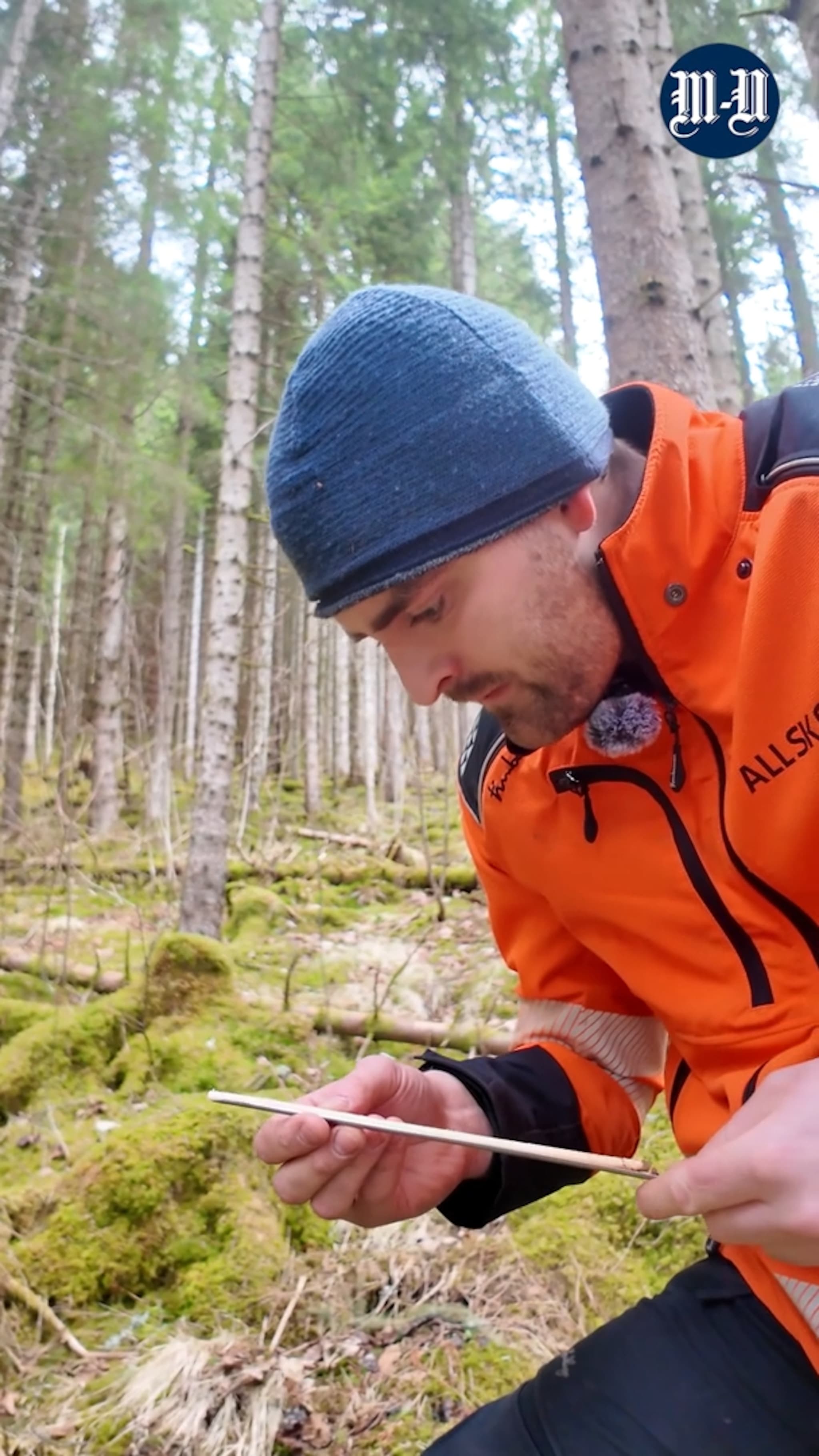 Global etterspurnad driv tømmerprisane opp i regionen