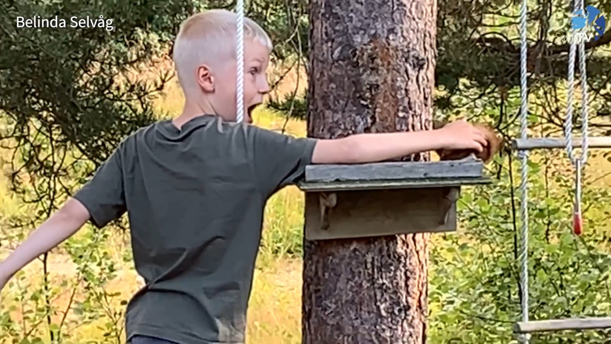 Lesarvideoar juli og august 2023 - Pulje 3