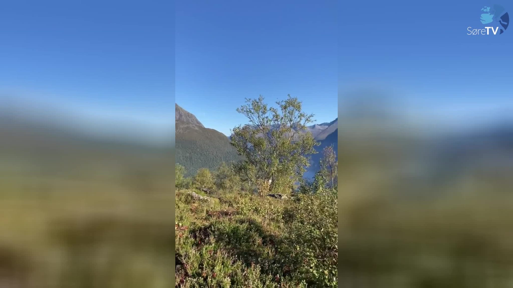 Eldsjeler leita fram igjen denne råsa