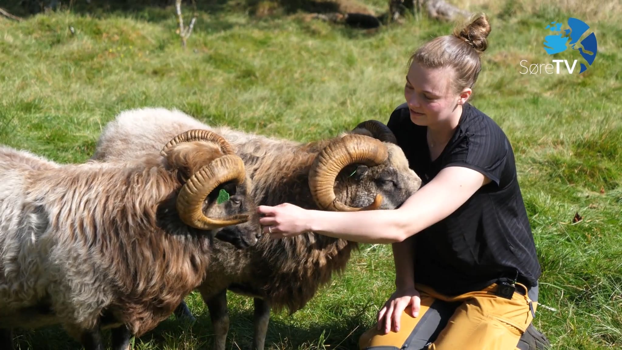 – Det hadde ikkje blitt noko gard utan familien