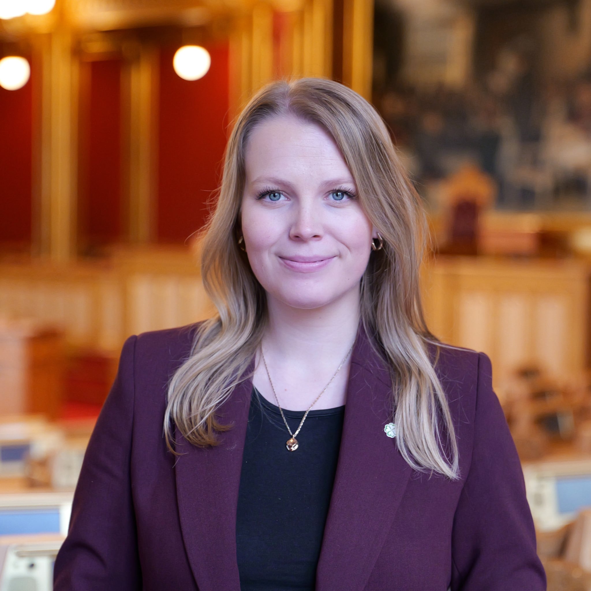 Fortsatt splid rundt årets budsjettforslag: - De har høye og urimelige krav