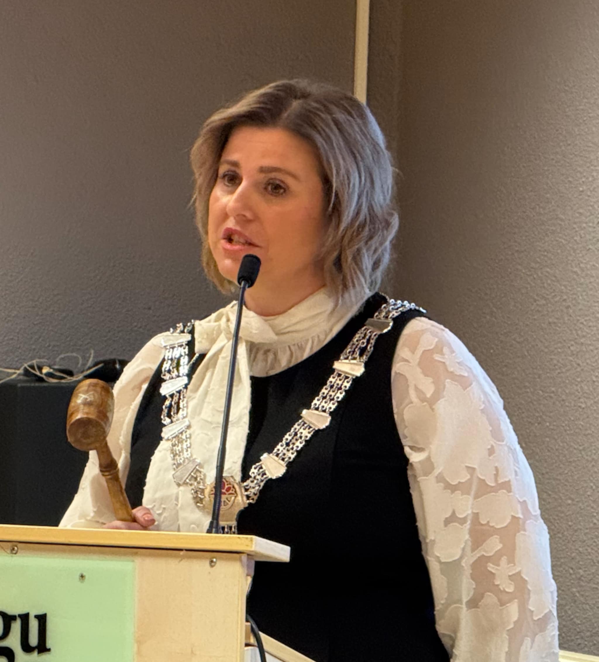 Rørosordføreren ser ingen grunn til ikke å stole på Ren Røros i millioninvestering