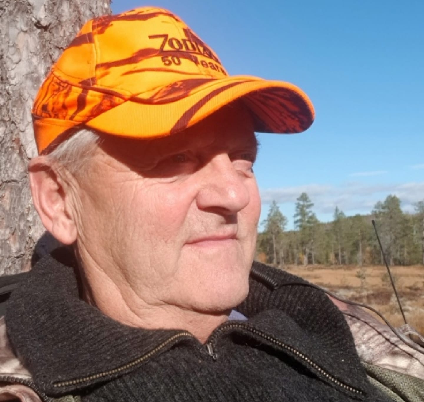 Bjørn skutt i Tydal: - Vi visste at bjørnen var i området