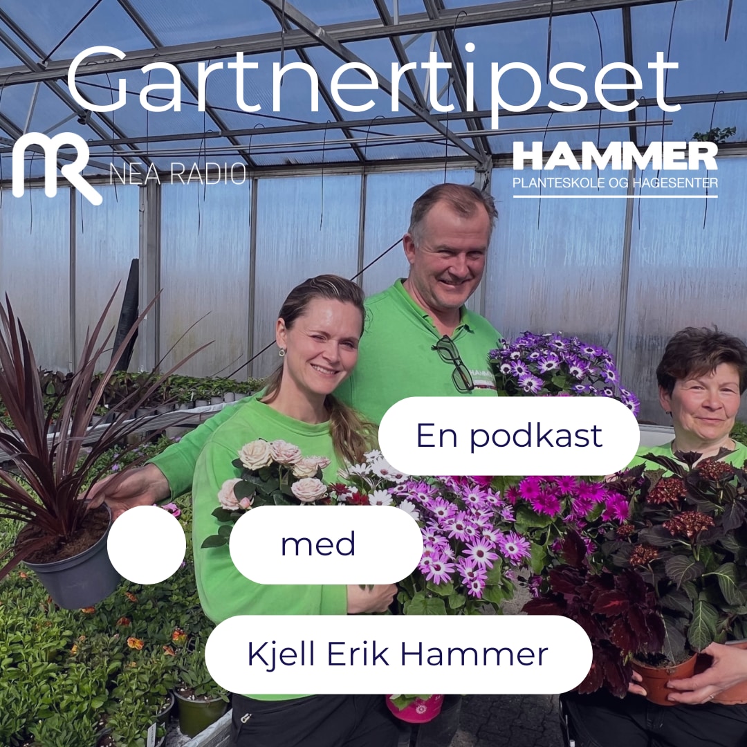 Image describing: Gartnertipset