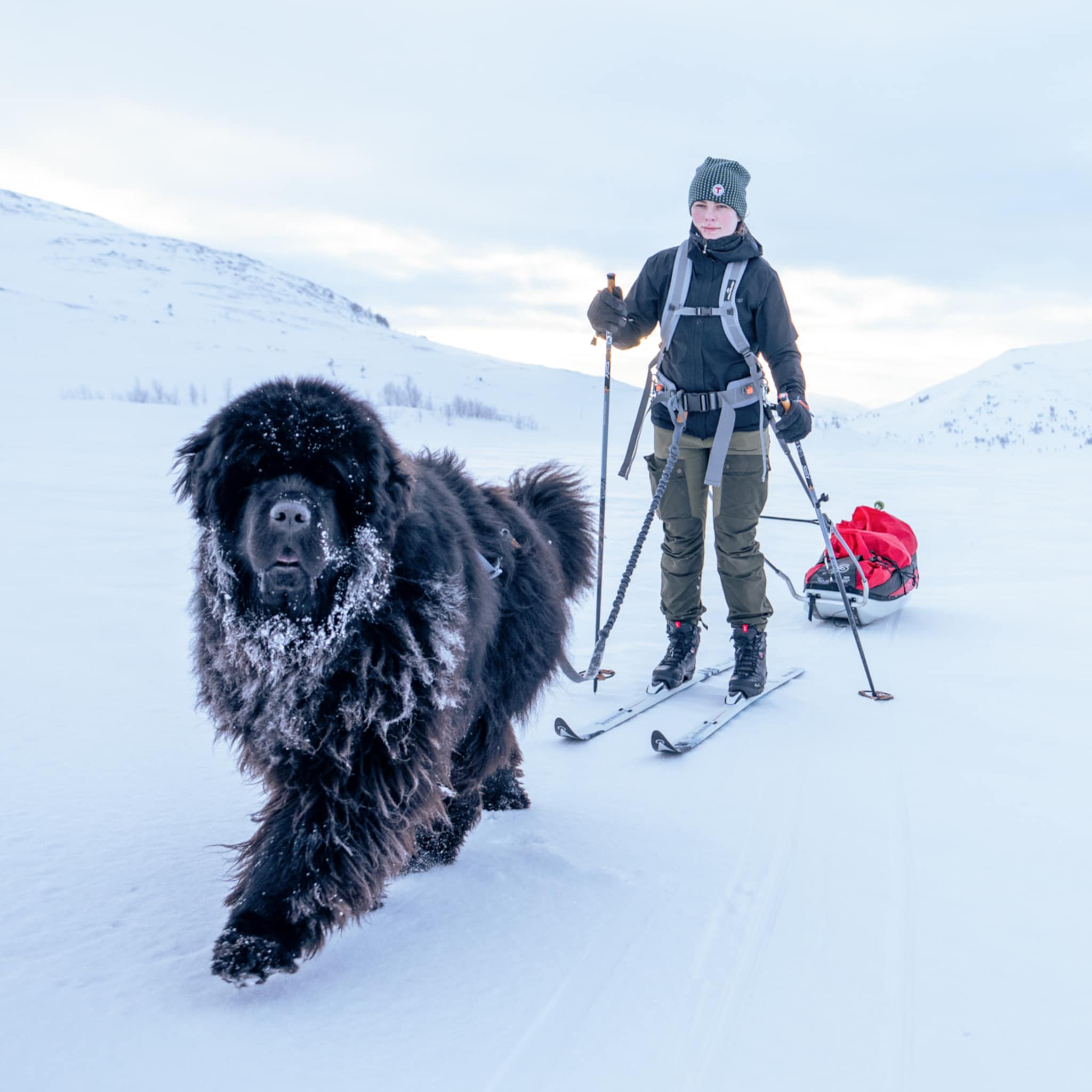 Sara og Albert på vei til Trondheim