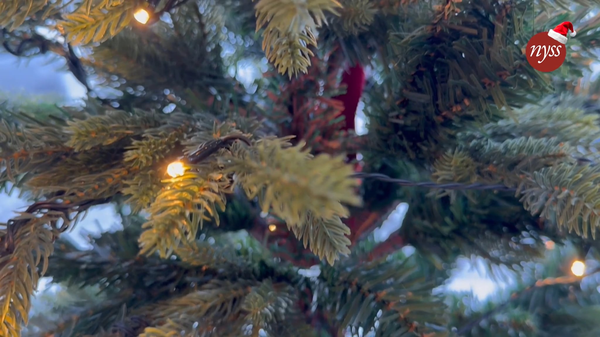 Julekalender luke 20