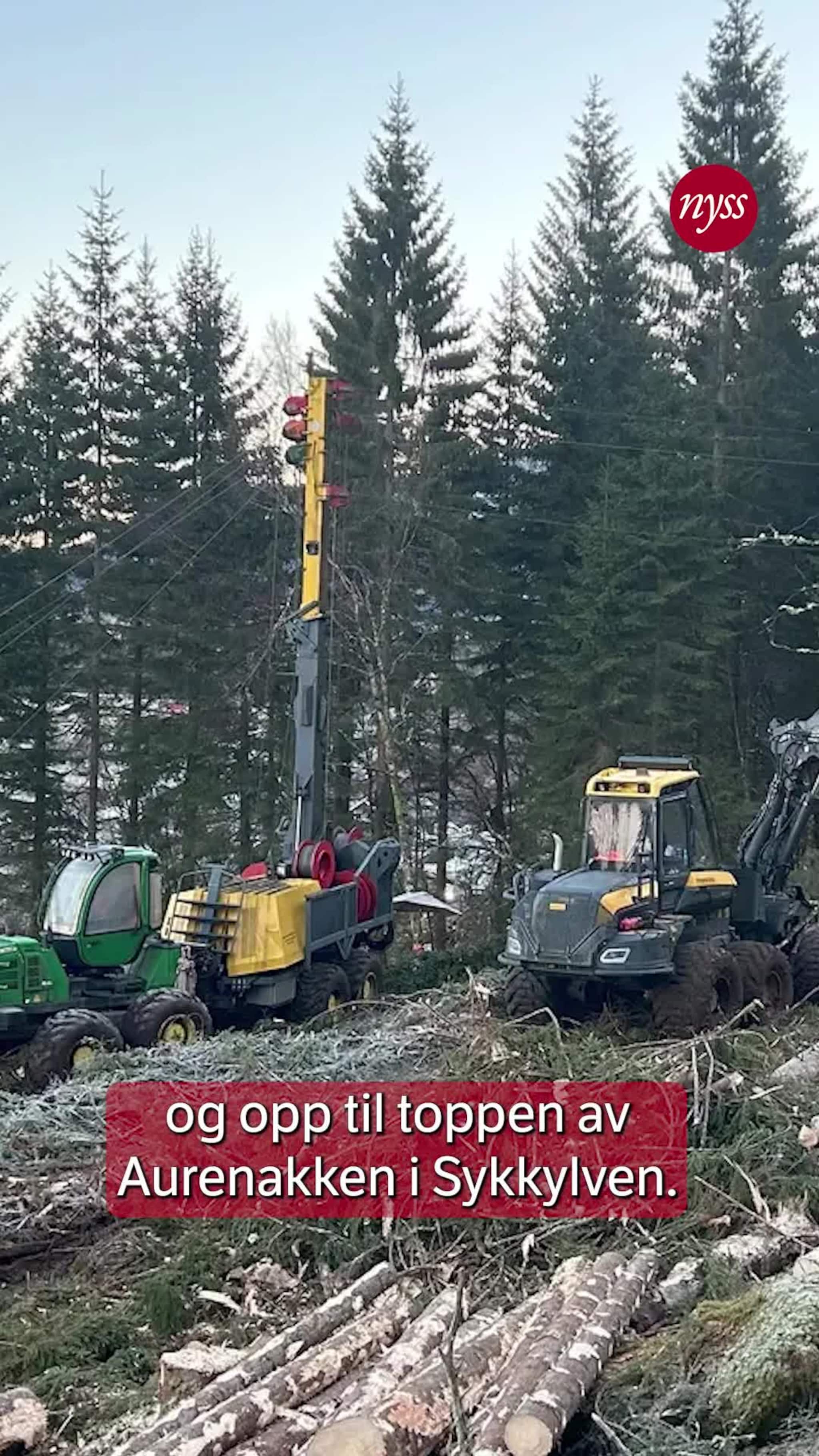 Tømmerhogst på Aurenakken