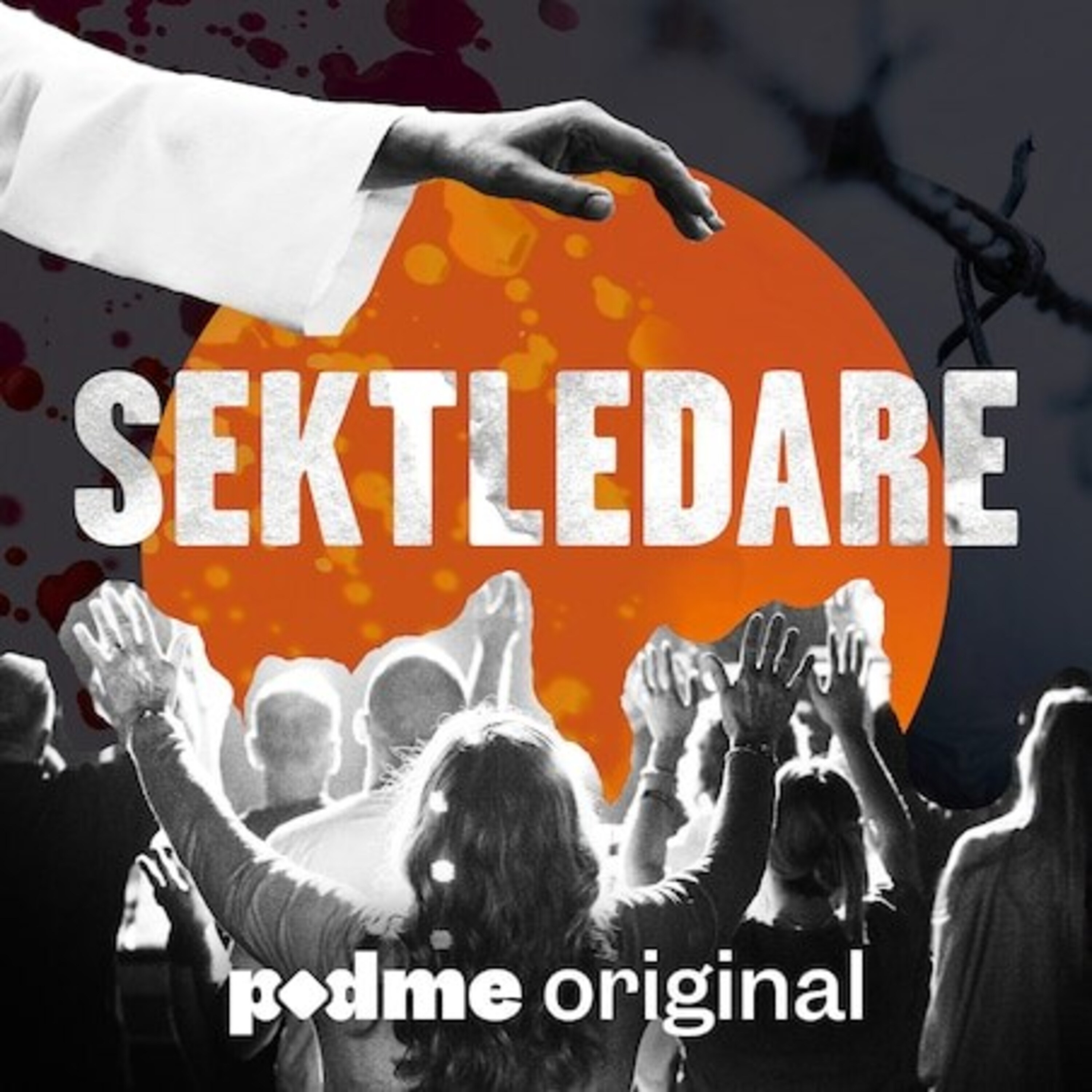 Sektledare podcast artwork