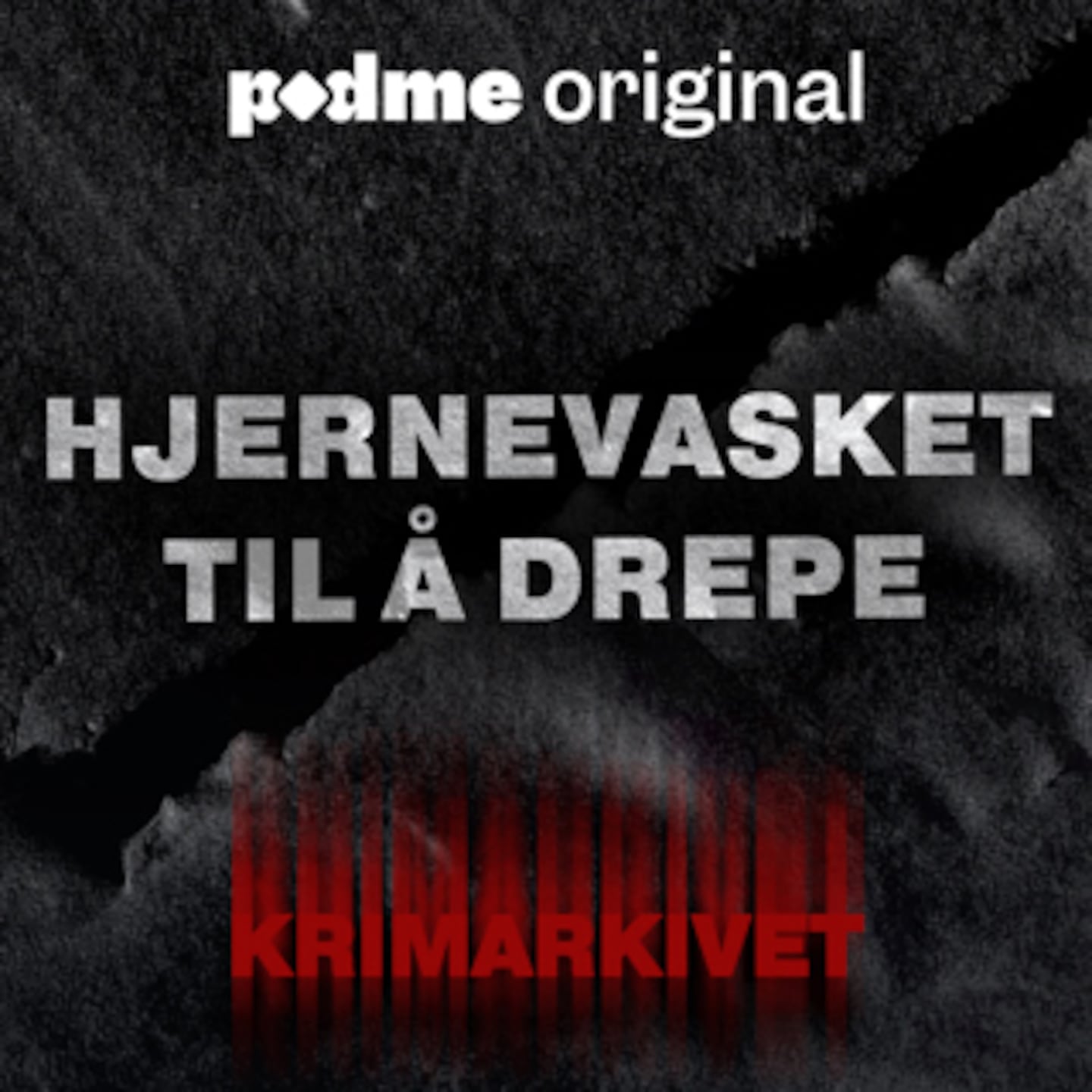 Hjernevasket til å drepe